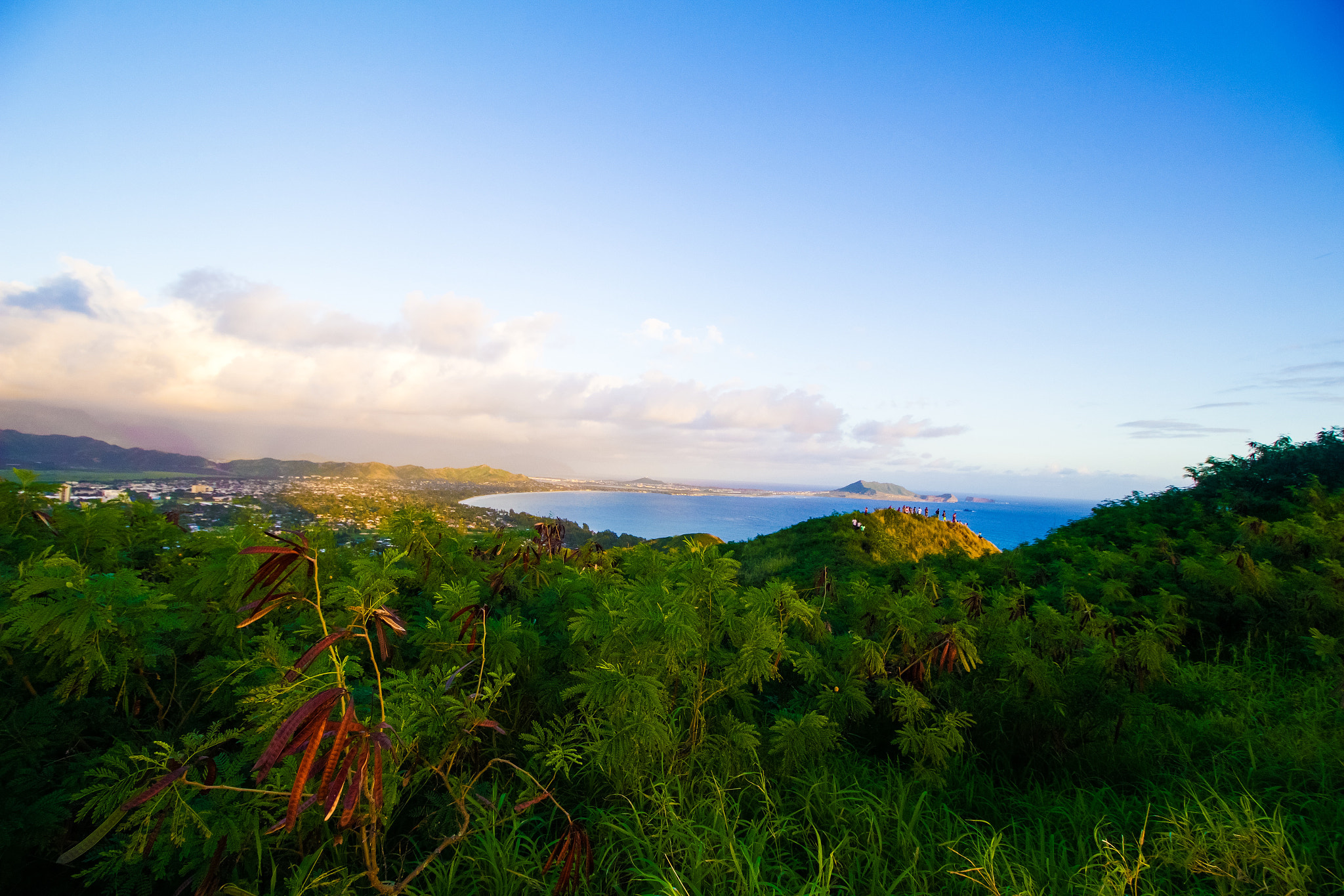 Canon EF-S 10-18mm F4.5–5.6 IS STM sample photo. "like a painting" photography