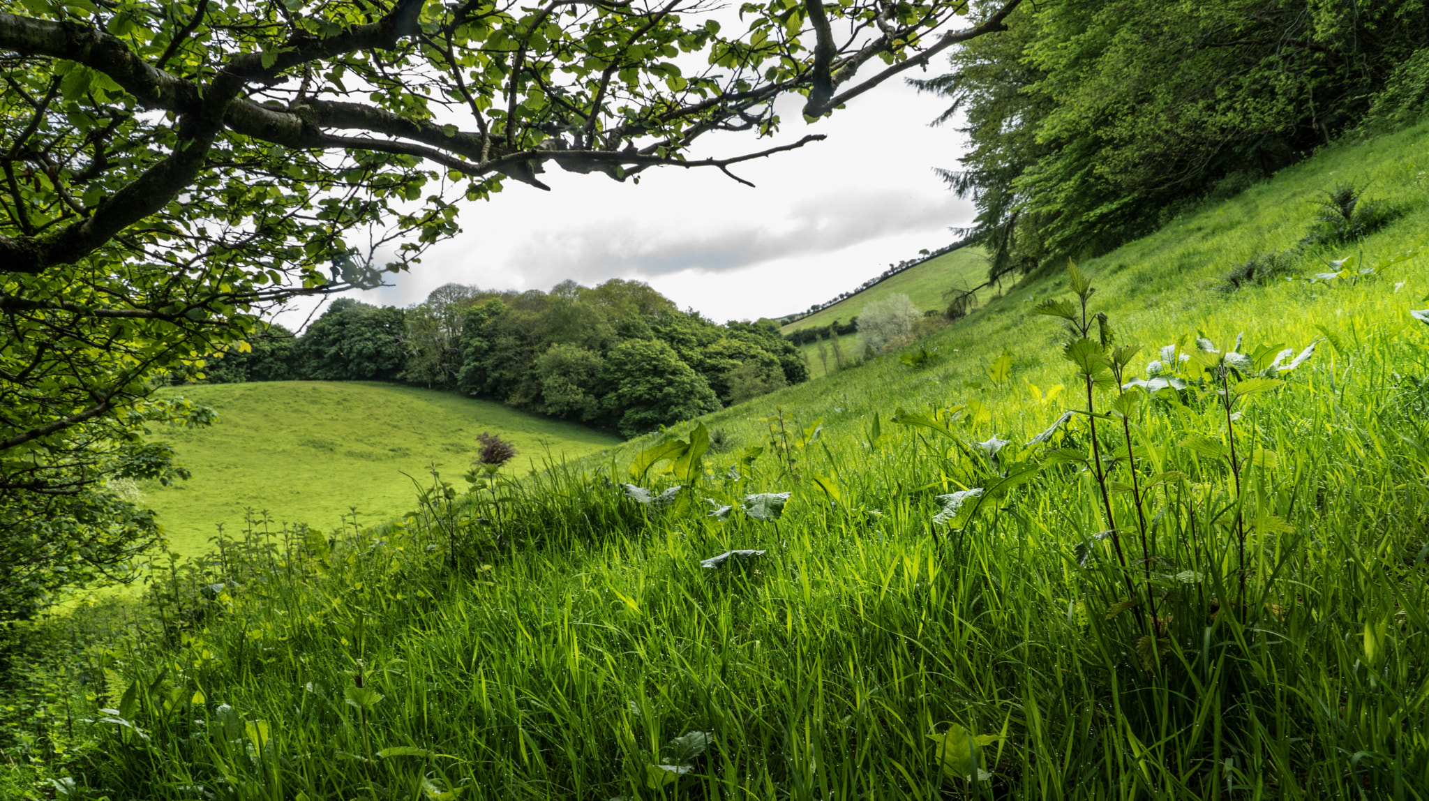 Sony DT 18-200mm F3.5-6.3 sample photo. Emerald valley photography