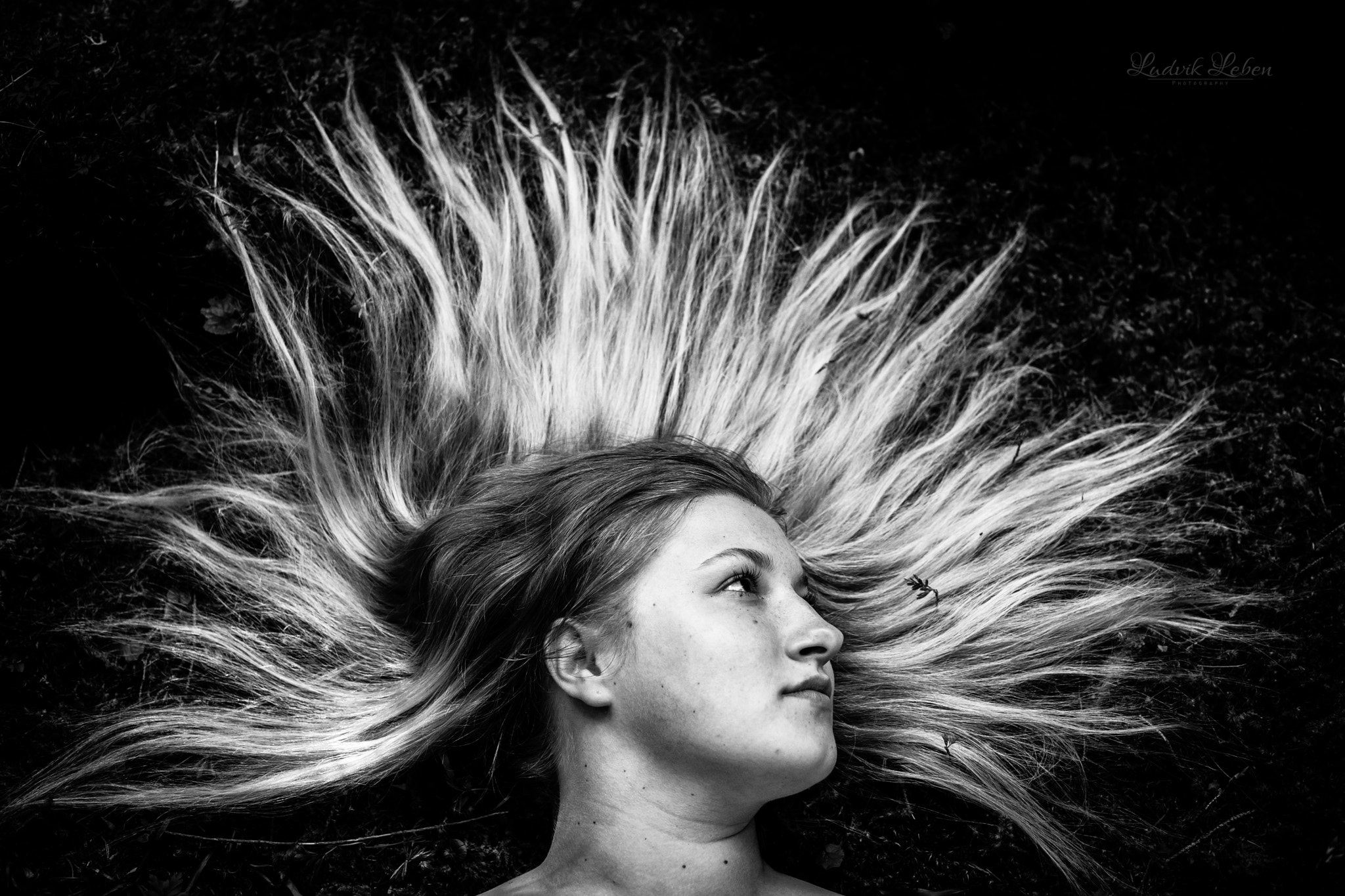 Sony a7 II + Sony 50mm F1.4 sample photo. Electrifying photography