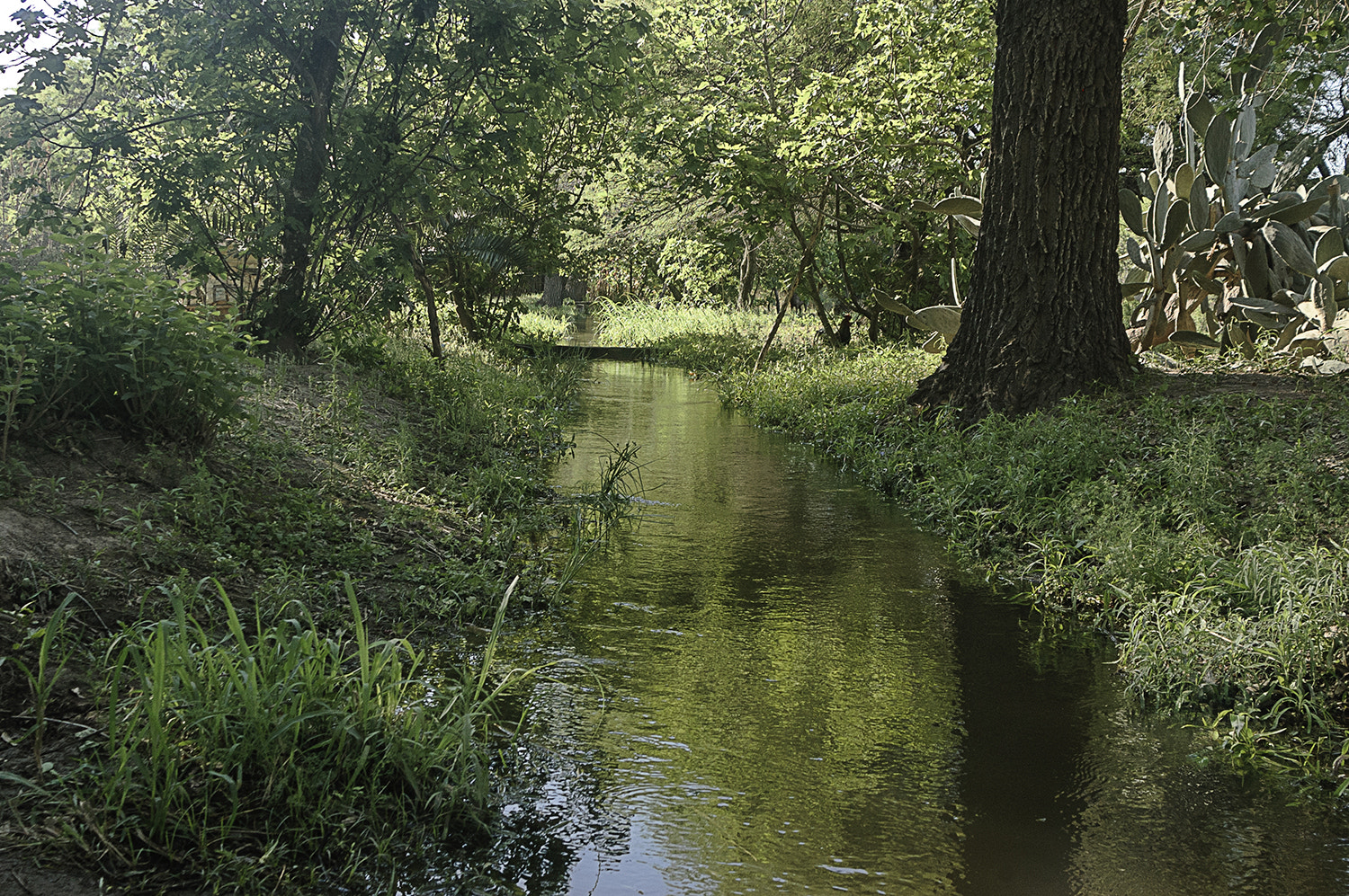 Nikon D70s sample photo. Canal photography
