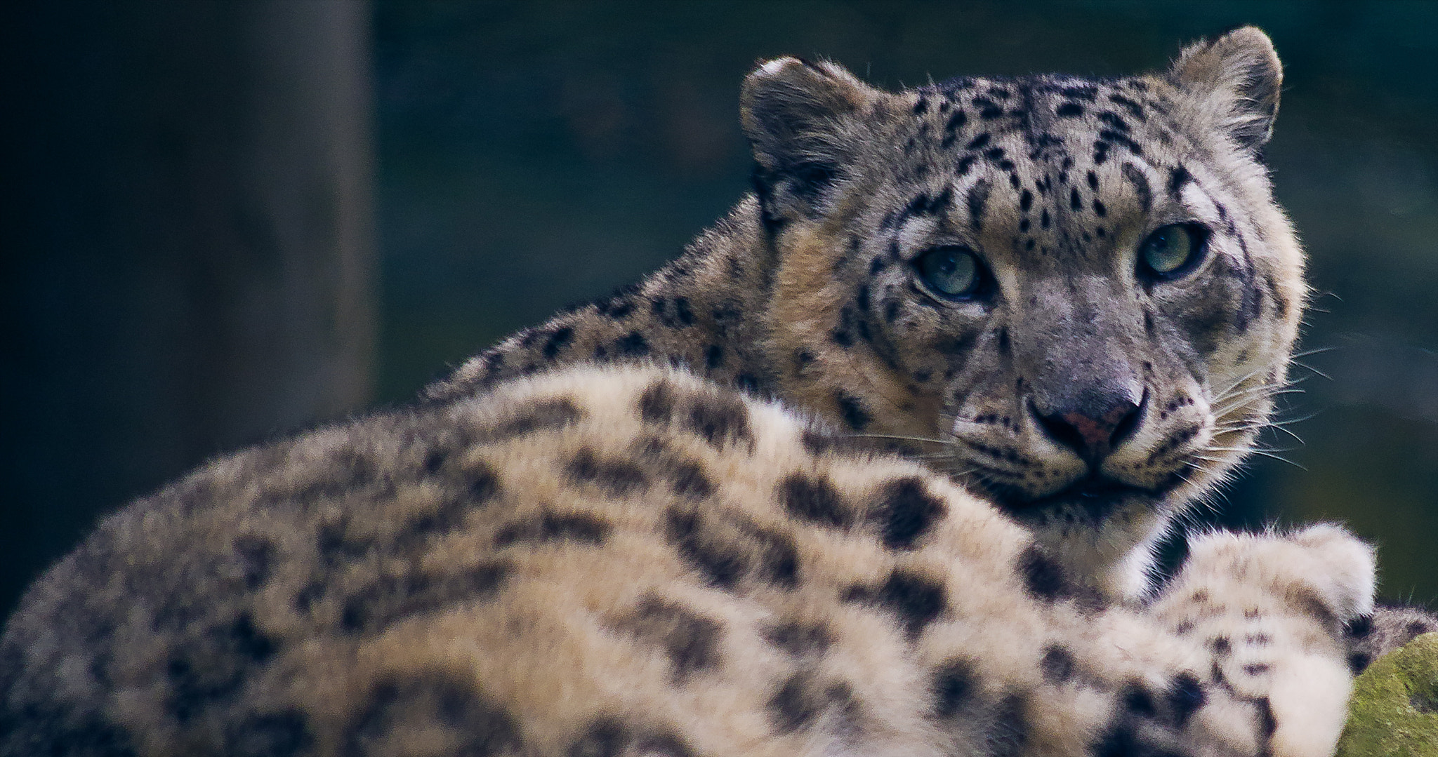 Pentax smc DA 55-300mm F4.0-5.8 ED sample photo. In the eye of the... photography