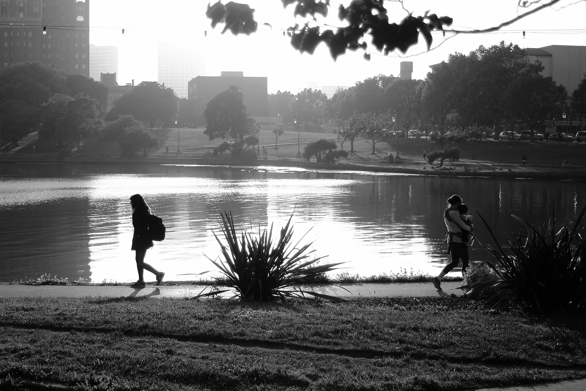 Canon EF 35-80mm f/4-5.6 sample photo. Same road. different paths. photography