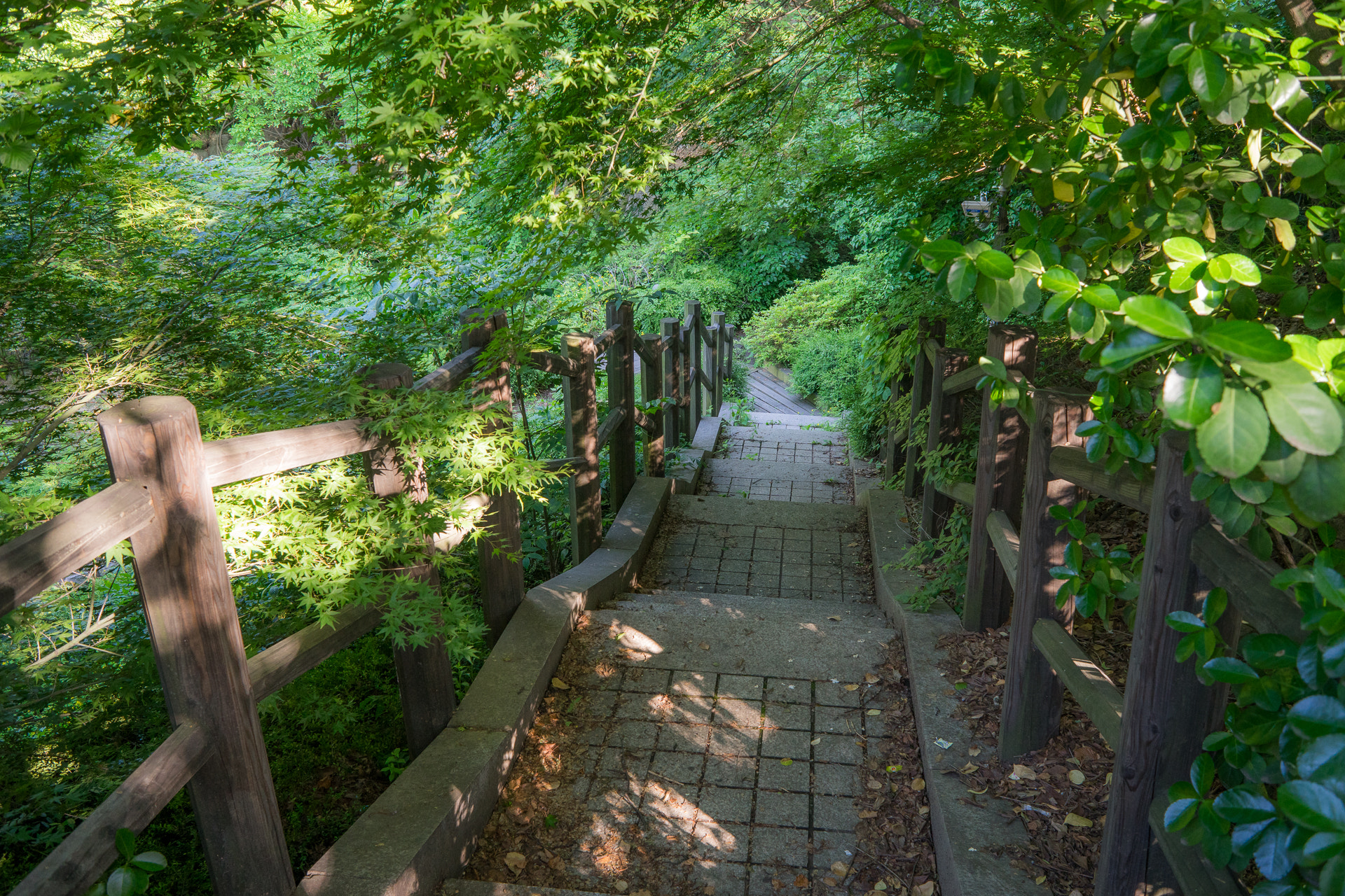 Sony a7 + Sony 28mm F2.8 sample photo. Namsan park photography