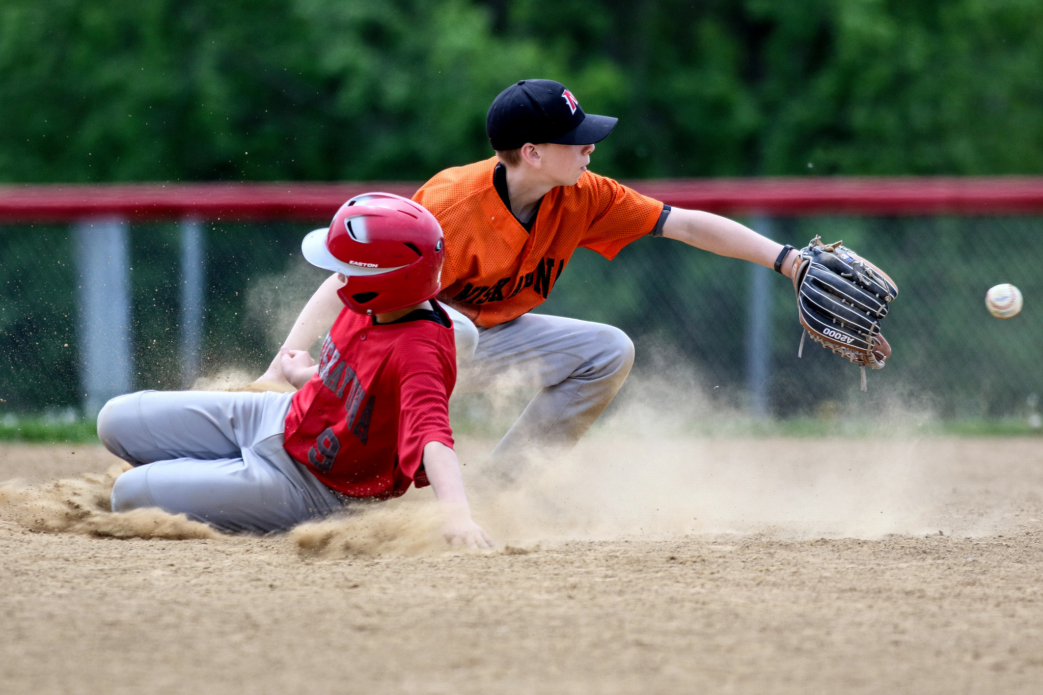 Canon EOS 7D Mark II + Canon EF 500mm f/4.5L sample photo. Safe photography