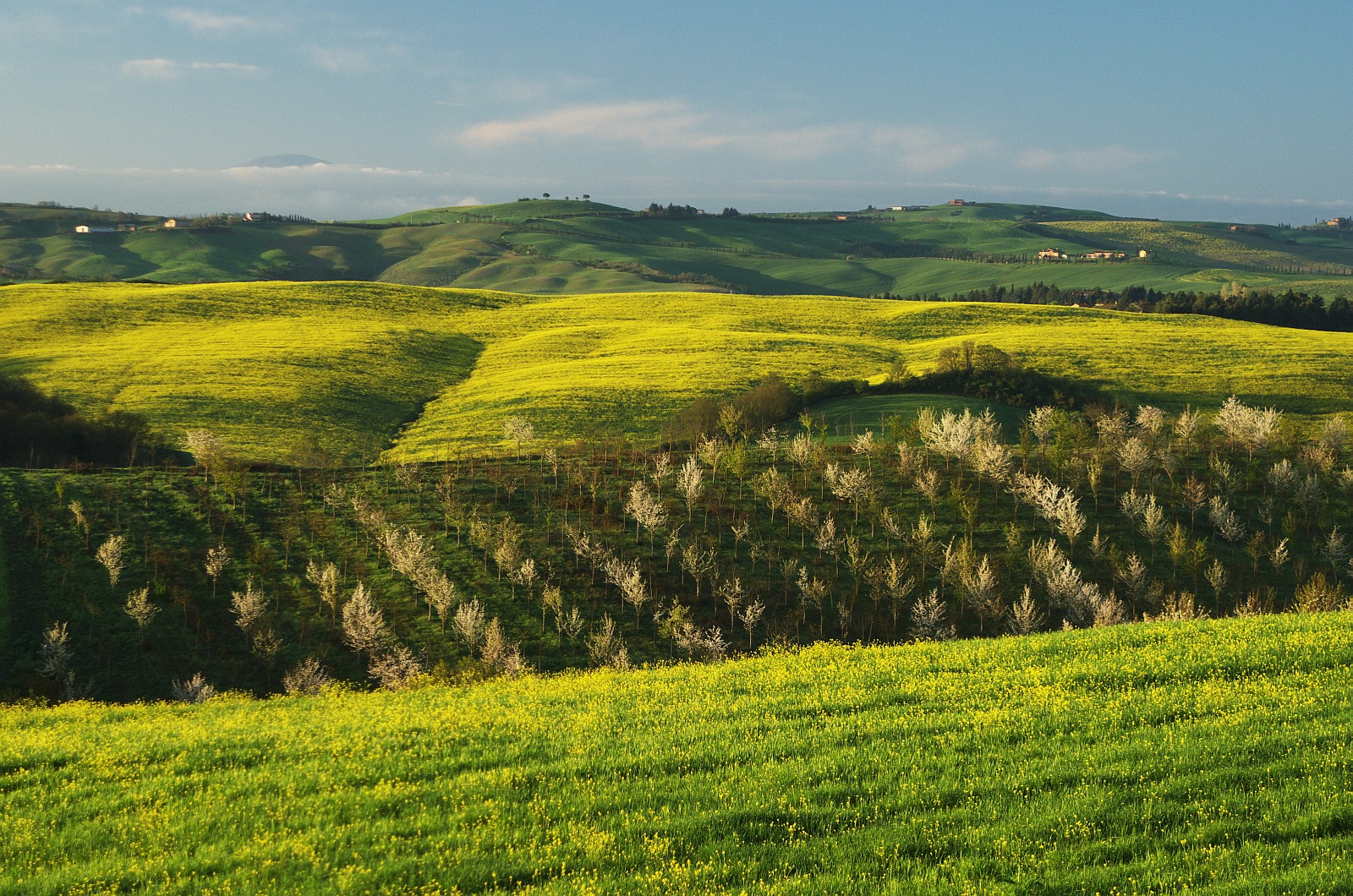 Pentax K-30 sample photo. Landscape in tuscany photography