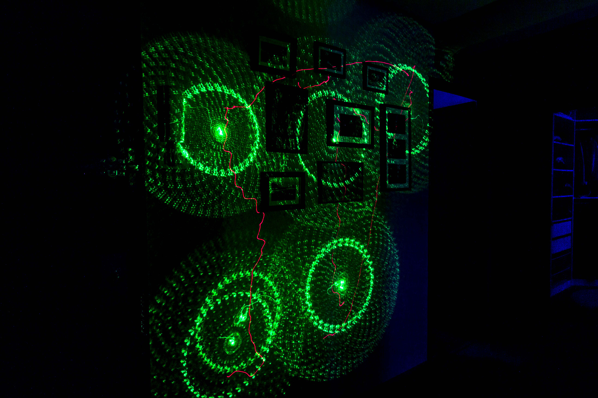 Tokina AT-X Pro 12-24mm F4 (IF) DX sample photo. Crazy house photography