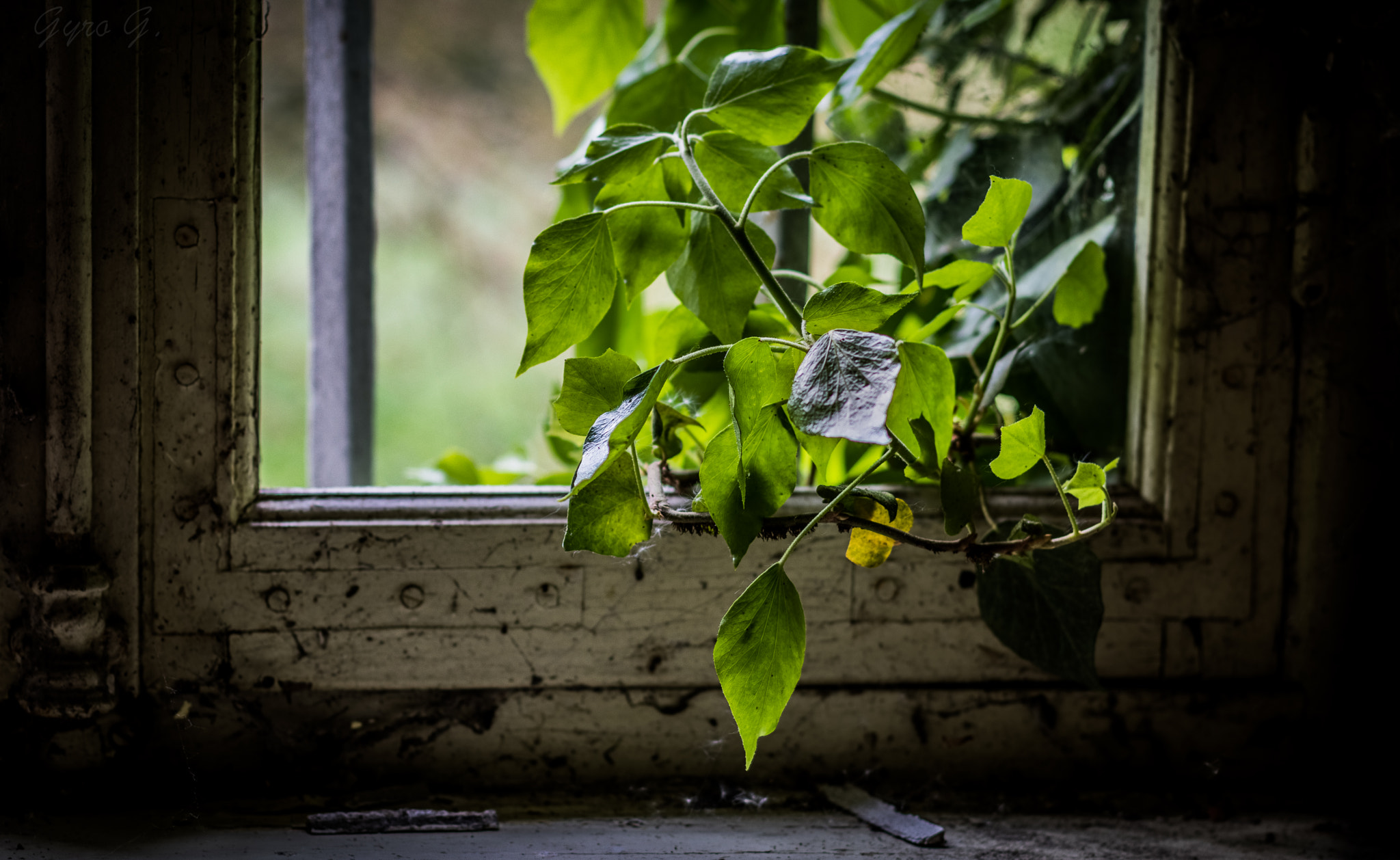 Canon EOS 80D + Canon EF 50mm F1.4 USM sample photo. The earth can recover. only without people photography