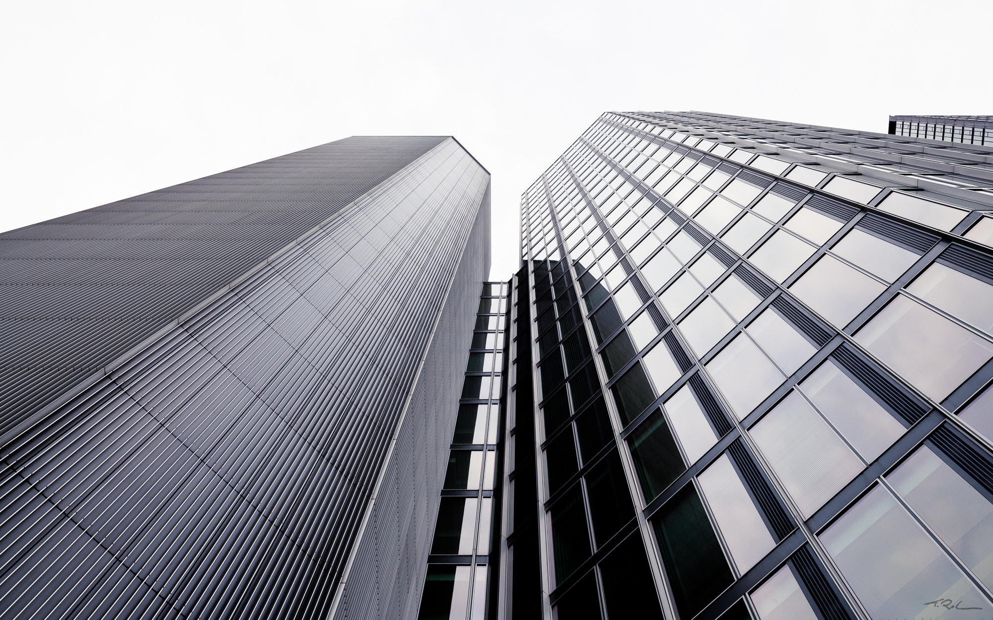 Canon EOS 700D (EOS Rebel T5i / EOS Kiss X7i) + Canon EF 16-35mm F4L IS USM sample photo. Rise. photography
