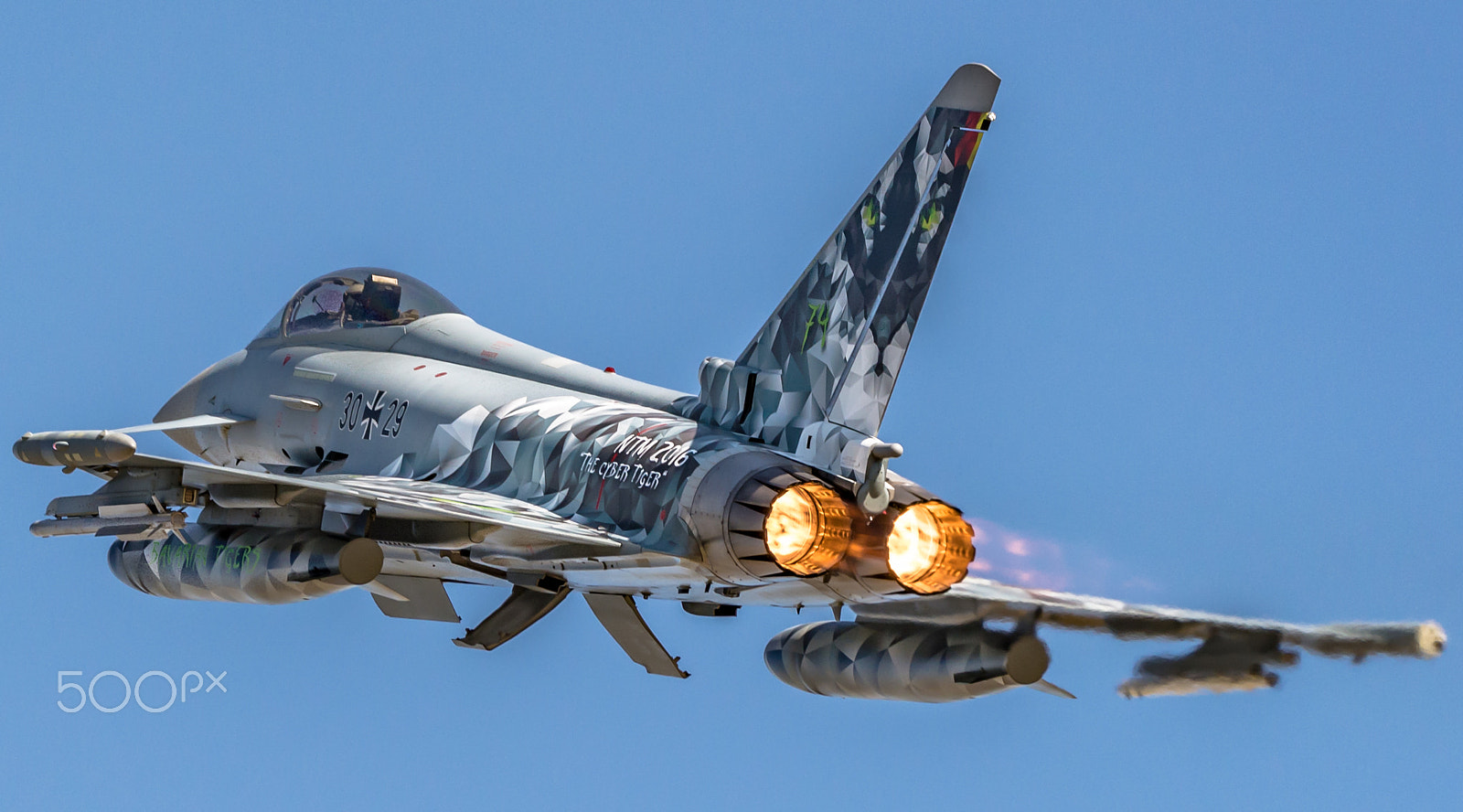 Sigma 150-600mm F5-6.3 DG OS HSM | C sample photo. The cyber tiger photography