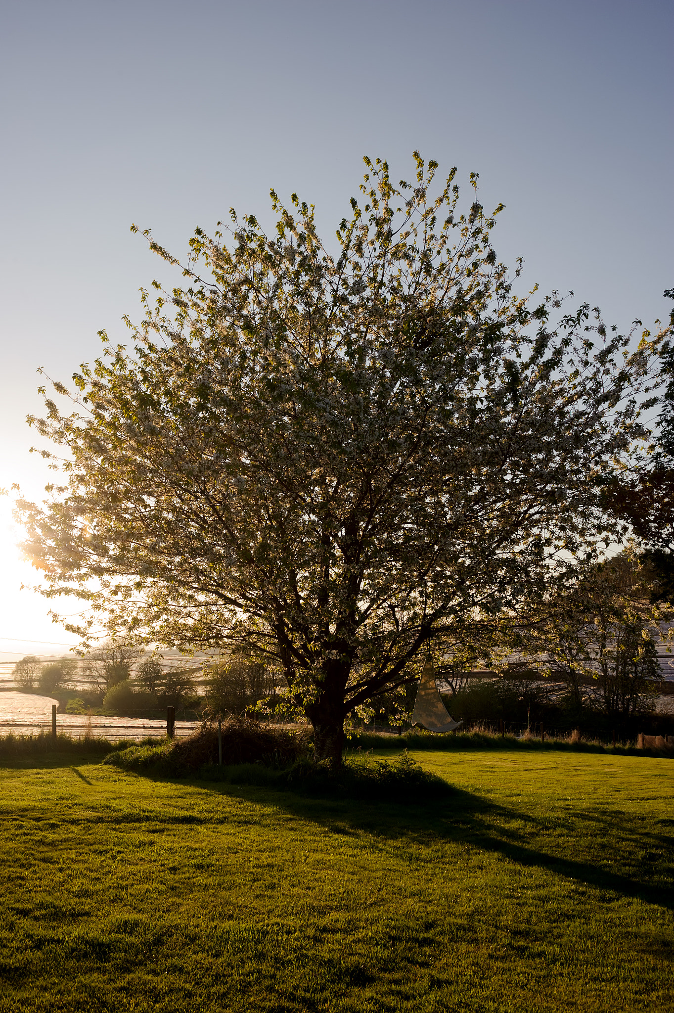 AF Zoom-Nikkor 28-80mm f/3.3-5.6G sample photo. . photography