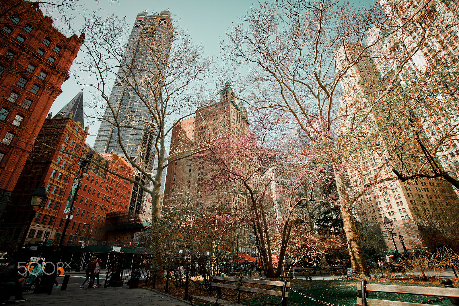 Canon EOS 5D + Canon EF 16-35mm F4L IS USM sample photo. Trees in the midst - lower manhattan photography