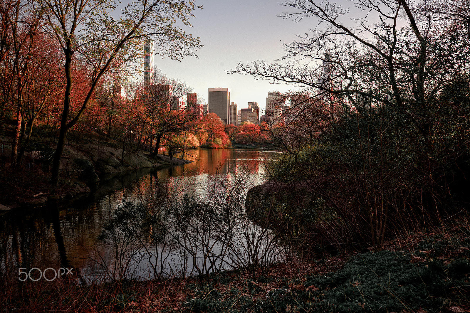 Canon EOS 5D + Canon EF 16-35mm F4L IS USM sample photo. Golden hour at the lake - central park photography