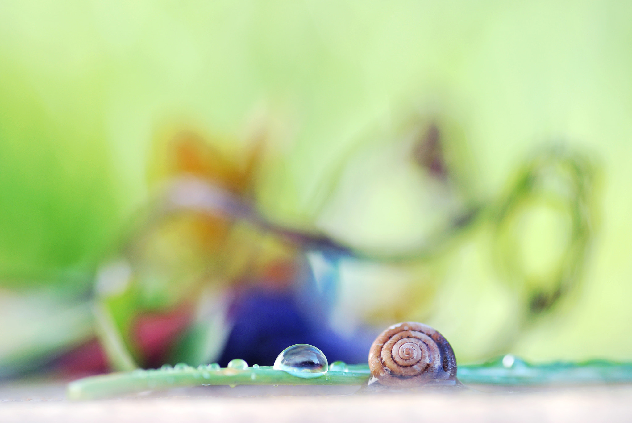 Nikon D60 sample photo. Swirl photography
