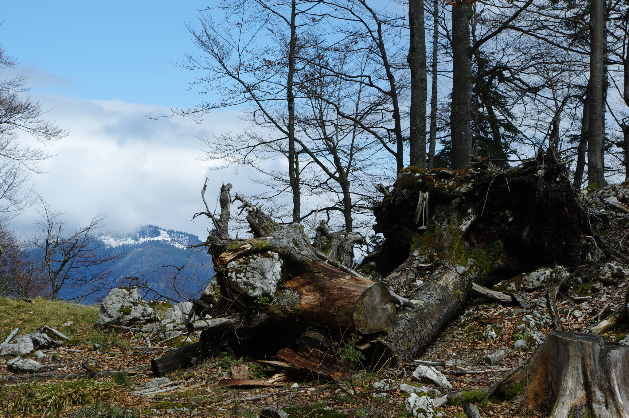 Pentax K-3 II sample photo. On the way to the sparber in upper austria photography