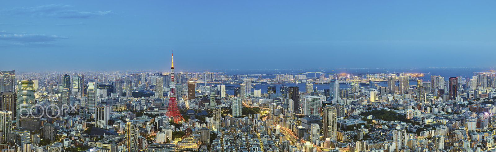 Phase One IQ250 sample photo. Tokyo panorama with tokyo tower photography