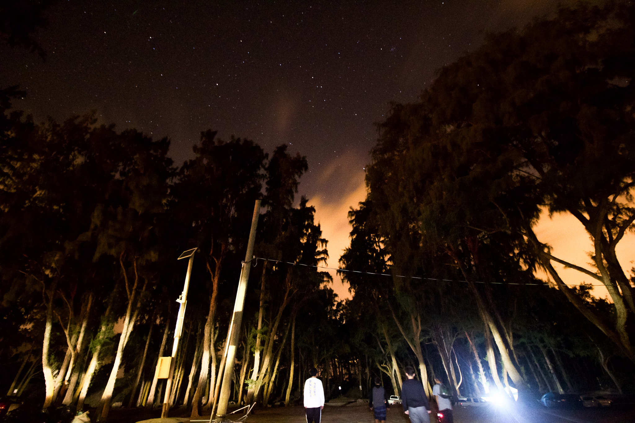 Canon EF-S 10-18mm F4.5–5.6 IS STM sample photo. "sober squad" photography