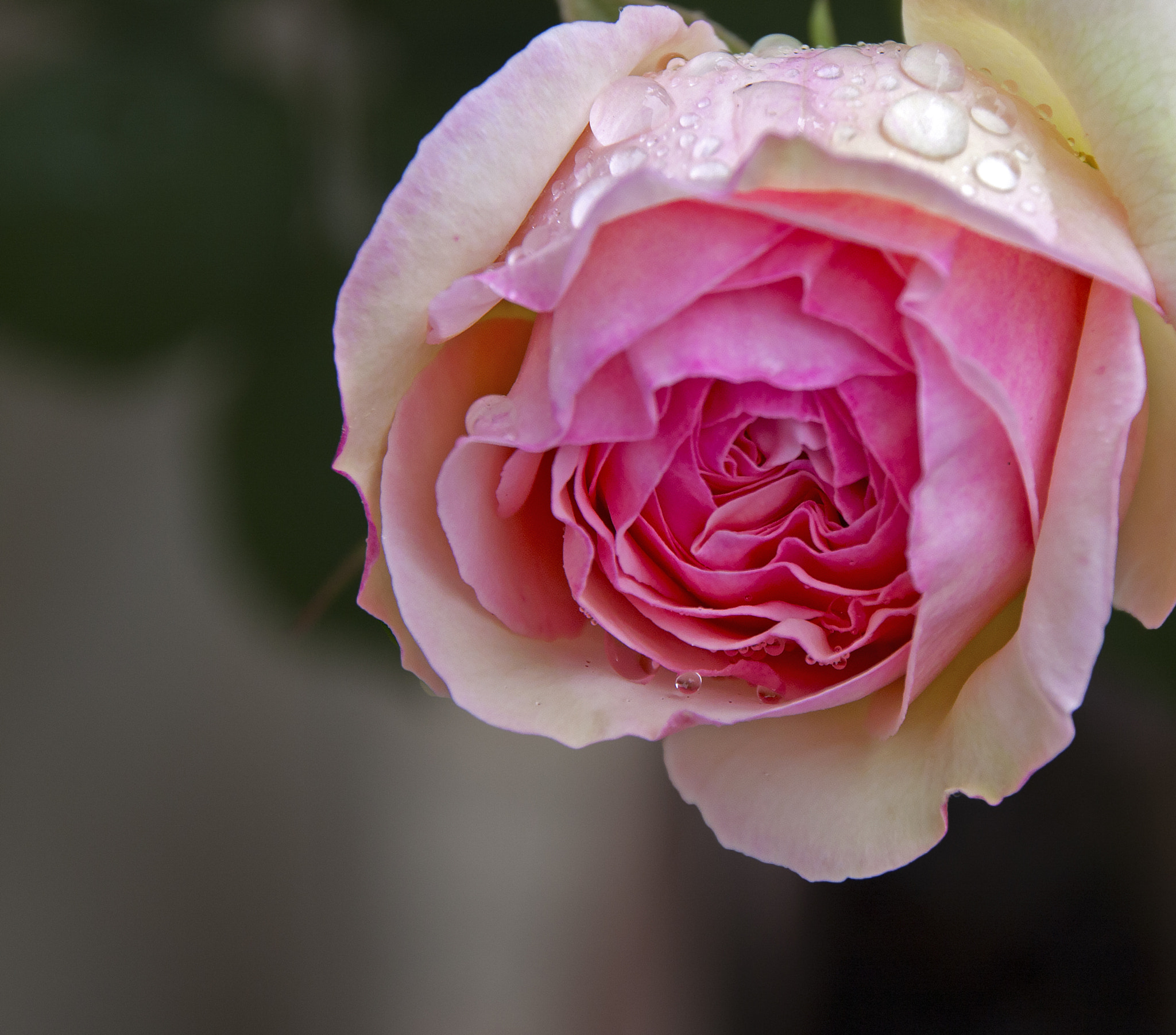 Canon EOS 40D sample photo. Nuremberg, germany  photography