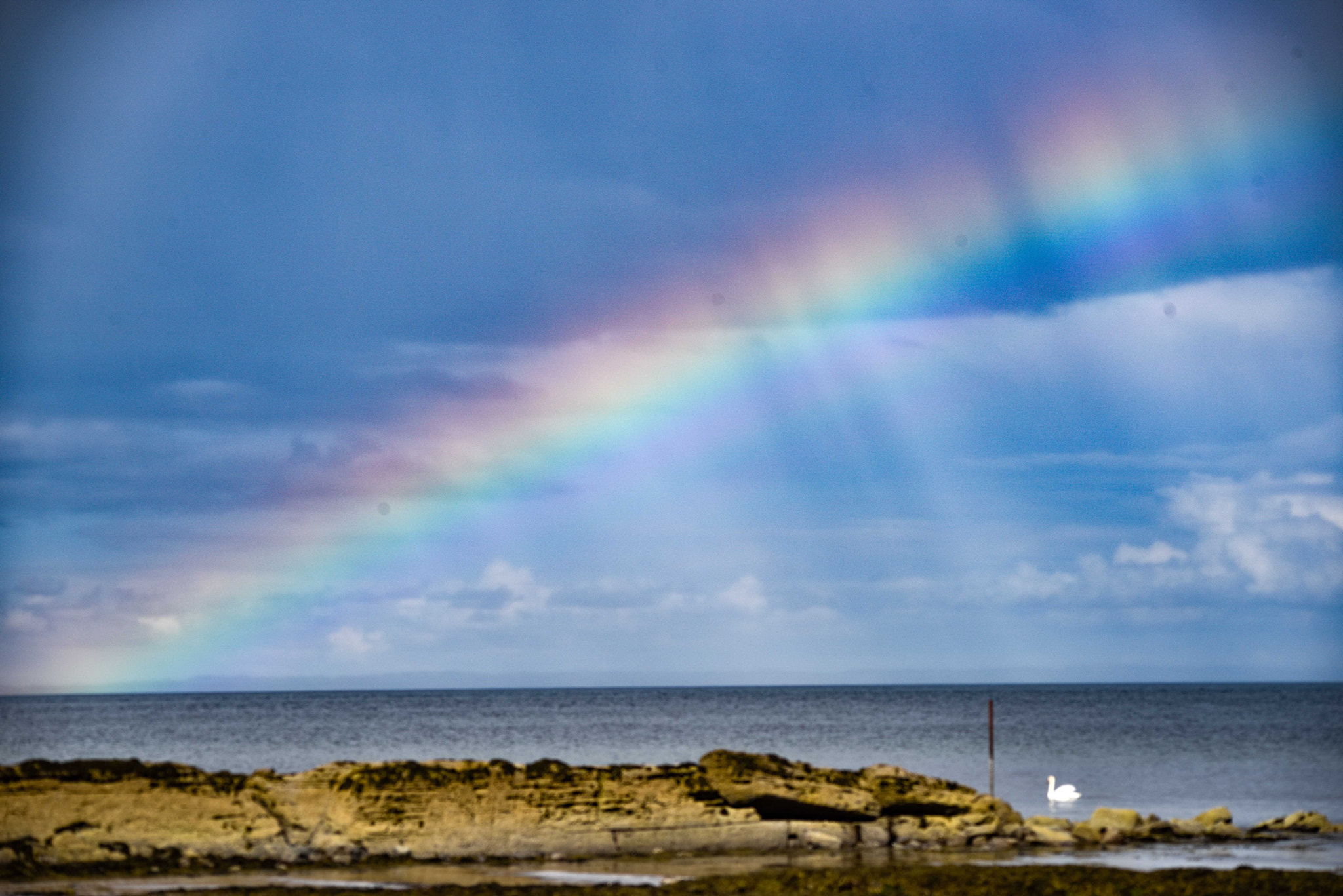 Sigma 150-500mm F5-6.3 DG OS HSM sample photo. Arran photography