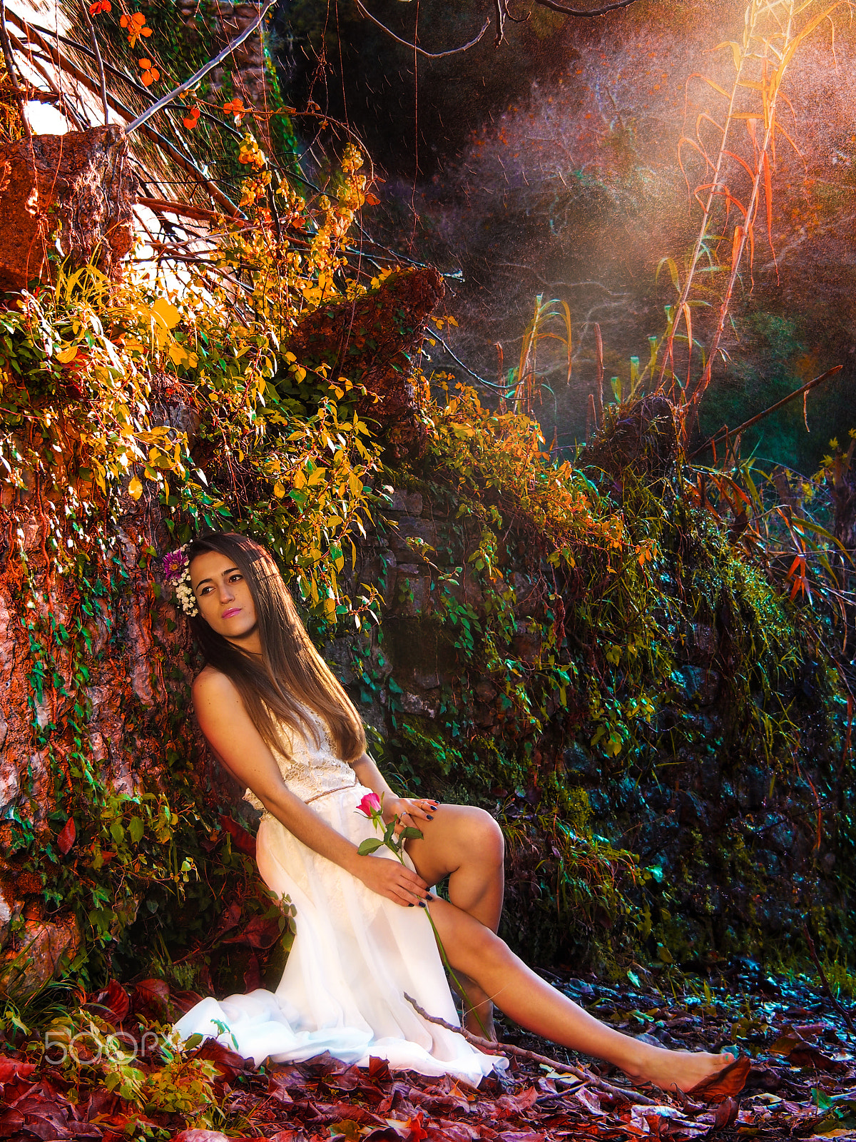 Olympus OM-D E-M5 sample photo. Fairyland photography