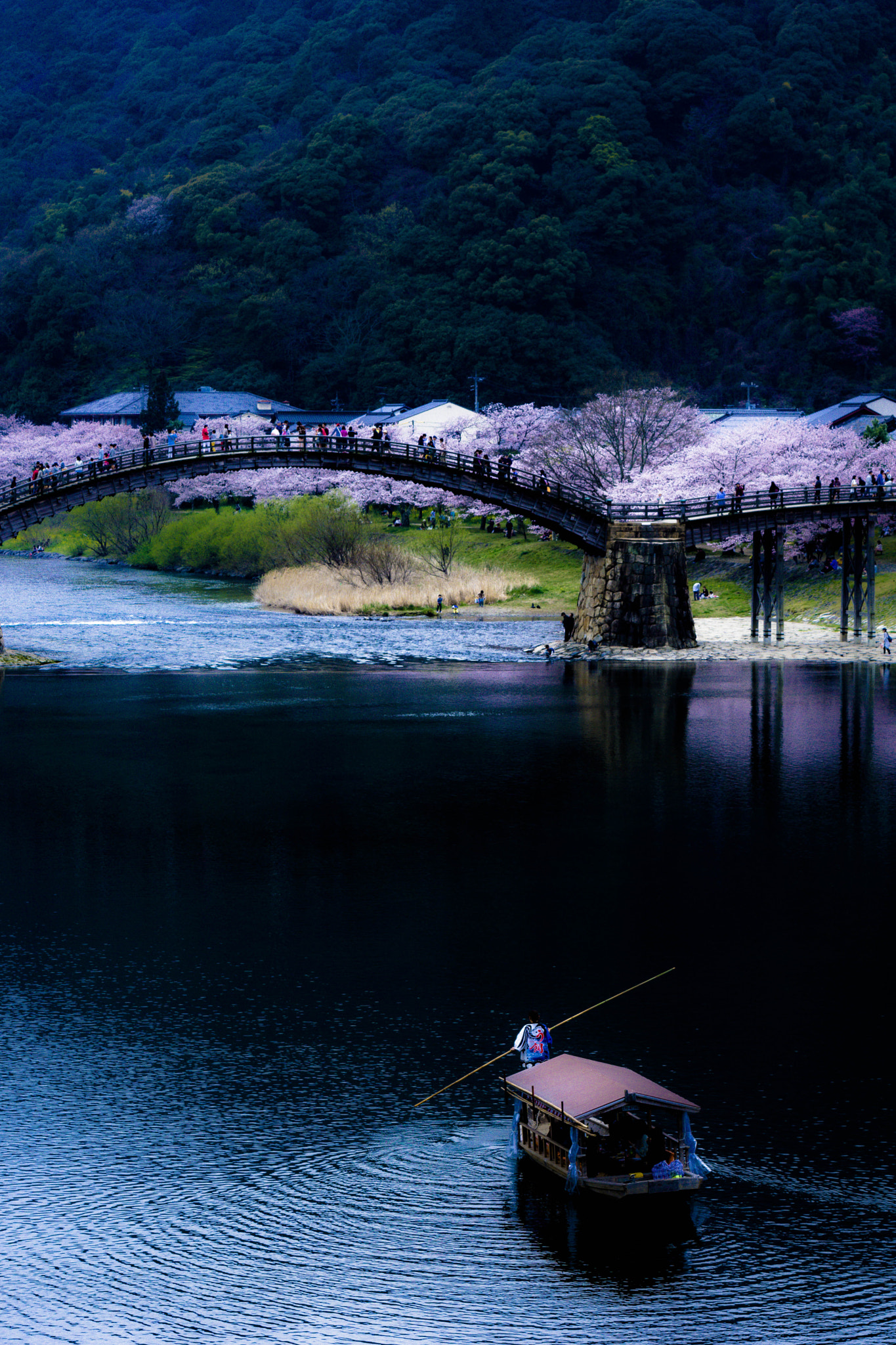 Sony a6000 + 70-200mm F2.8 sample photo. Nishiki river photography