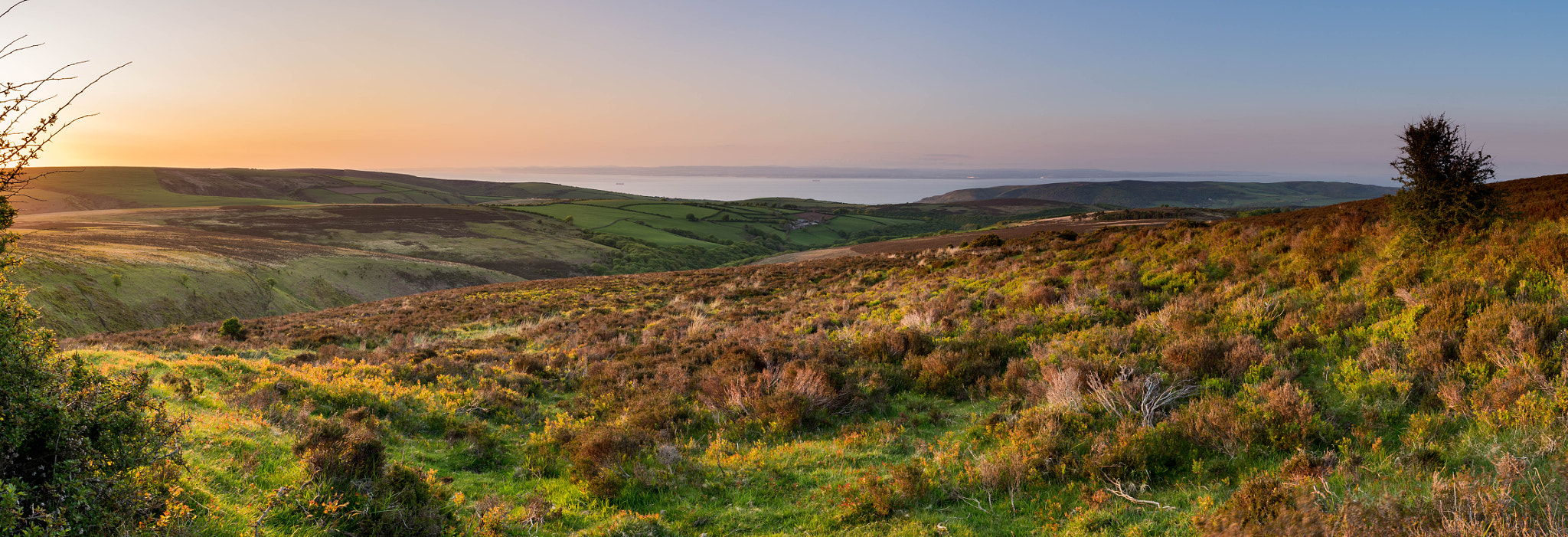 Nikon AF-S Nikkor 24-70mm F2.8E ED VR sample photo. Exmoor heather photography