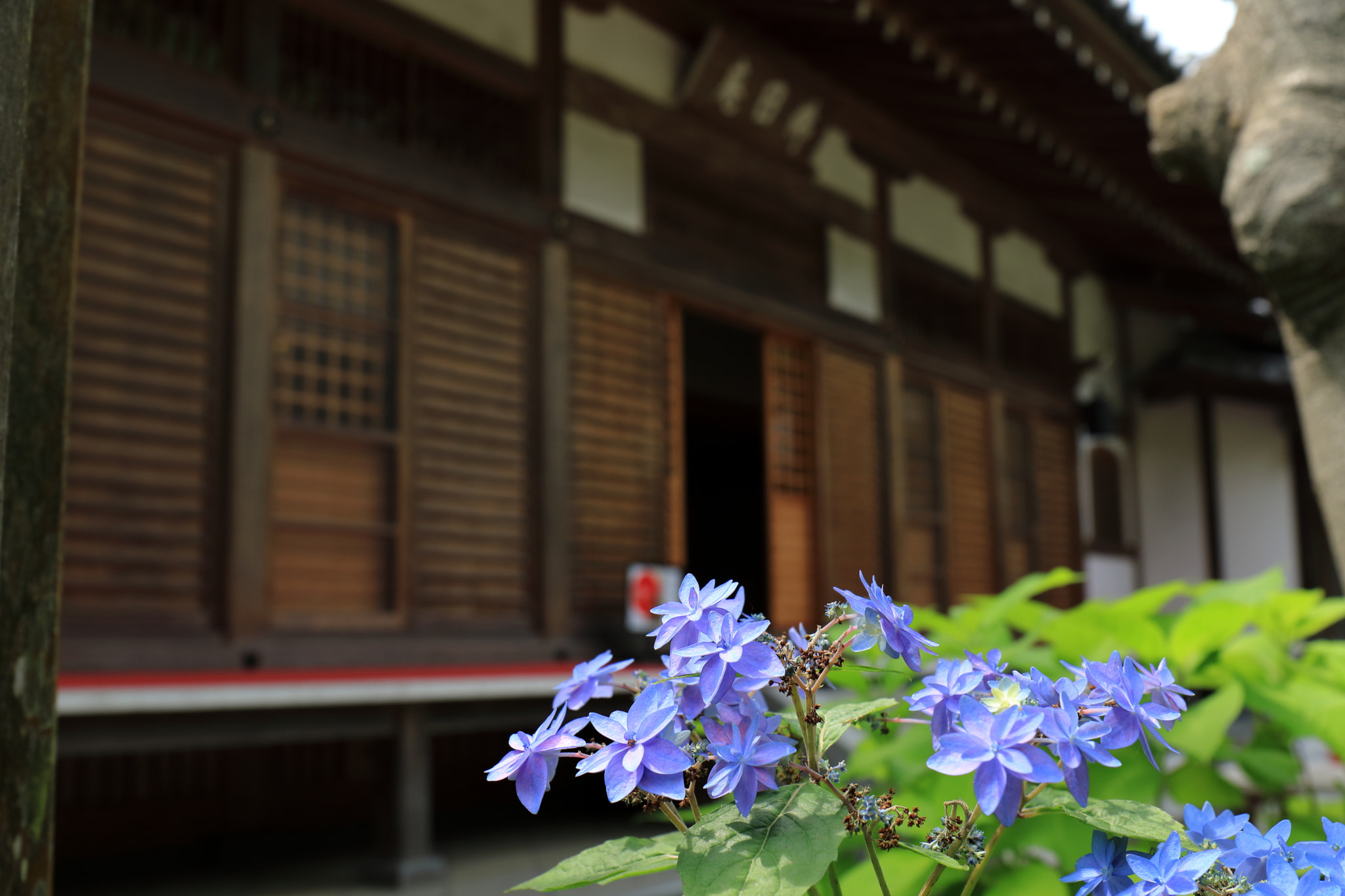 Canon EOS M3 sample photo. Temple of the landscape photography