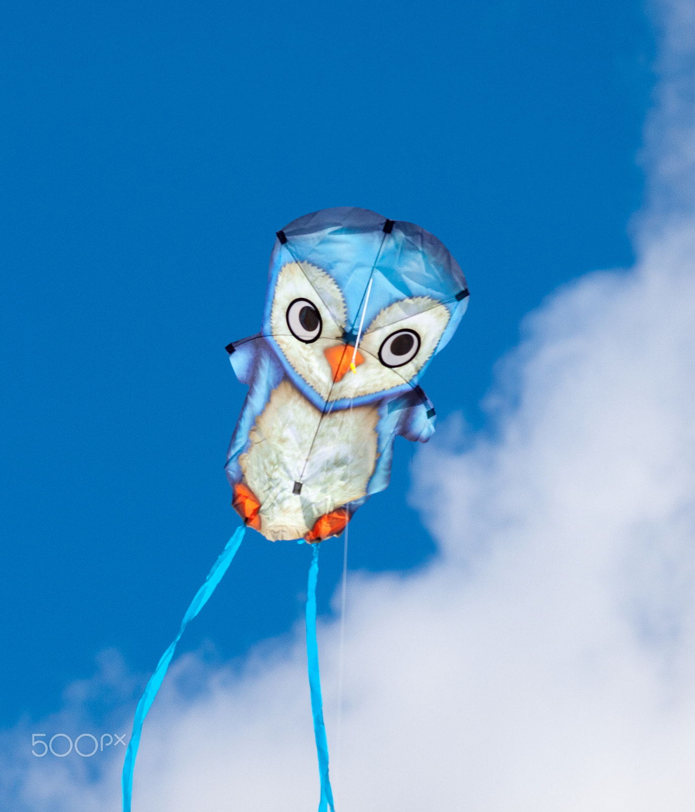 Olympus Zuiko Digital ED 70-300mm F4.0-5.6 sample photo. Kite in the breeze photography