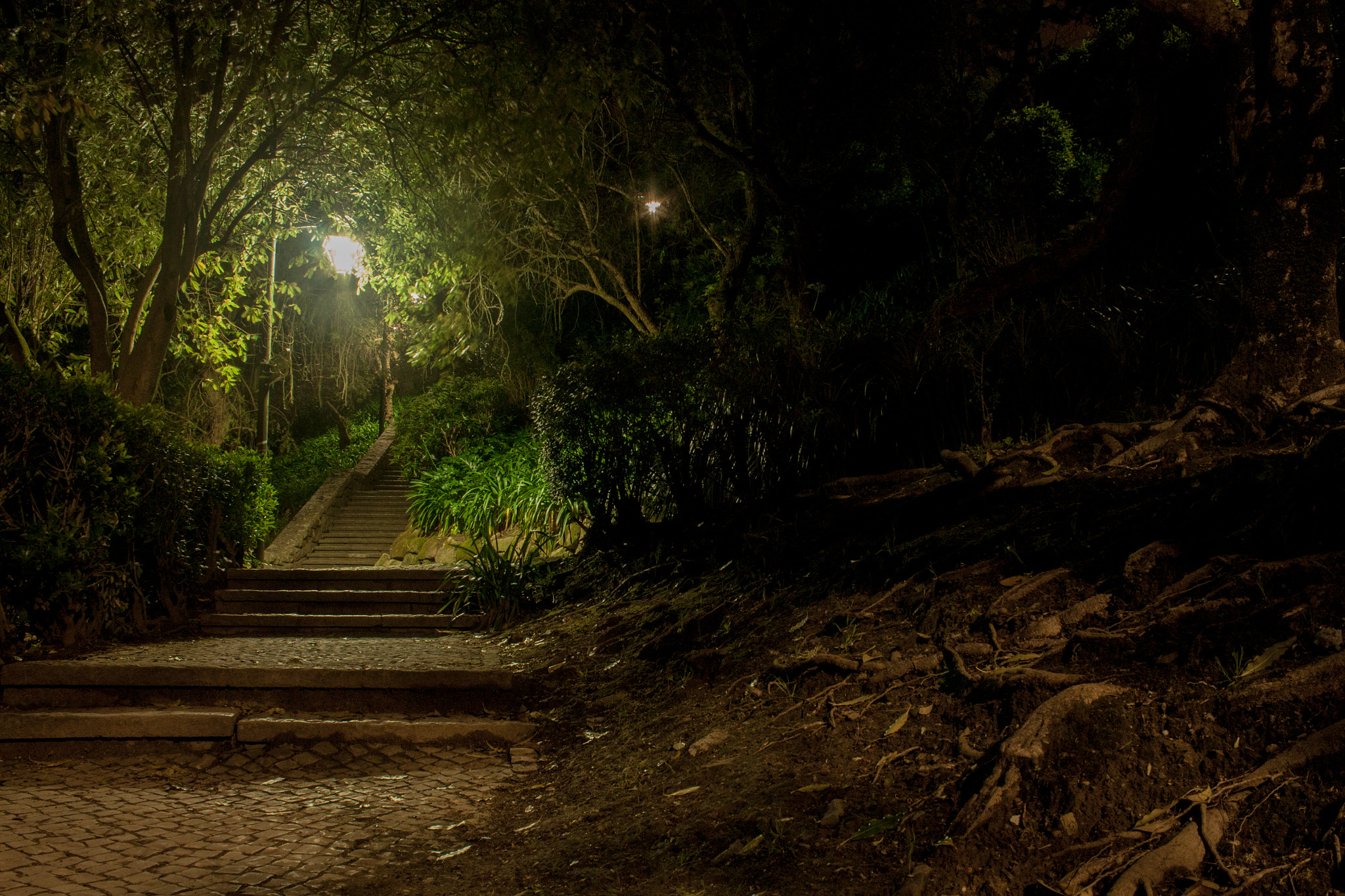 Canon EF-S 18-55mm F3.5-5.6 III sample photo. Sintra photography