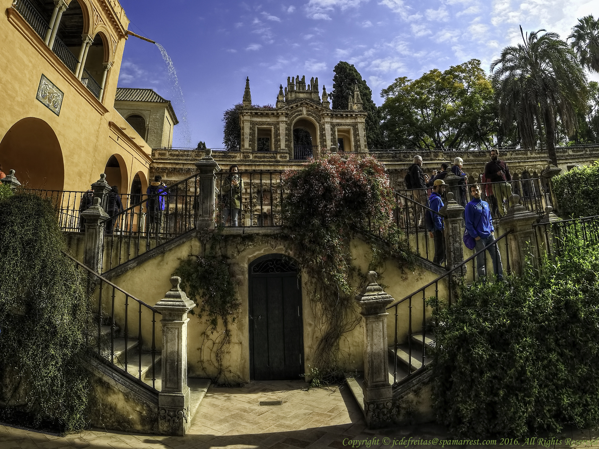 Canon EF 8-15mm F4L Fisheye USM sample photo. Jardines del alcazar photography