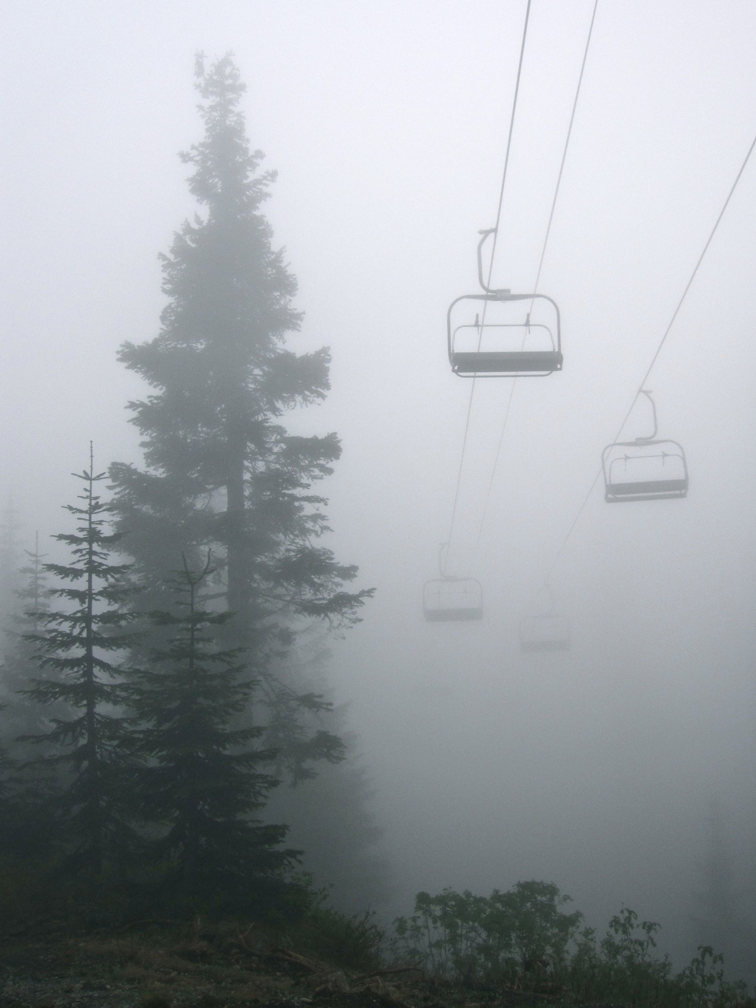 Canon PowerShot SD780 IS (Digital IXUS 100 IS / IXY Digital 210 IS) sample photo. Spring on grouse mountain photography