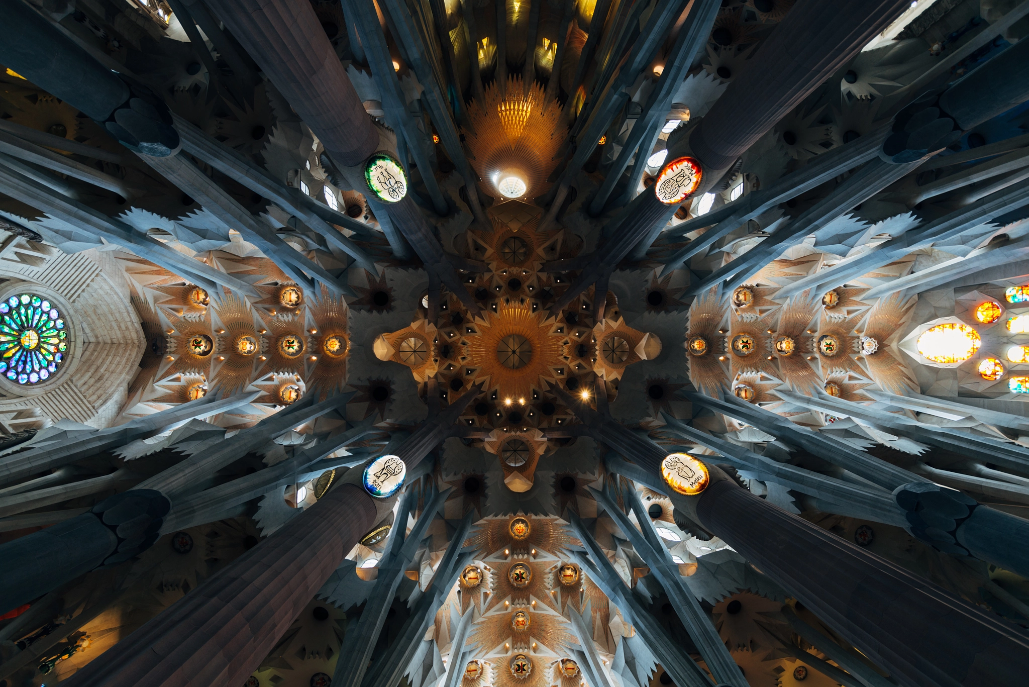 Nikon AF-S Nikkor 18-35mm F3.5-4.5G ED sample photo. Ceiling of the sagrada familia photography