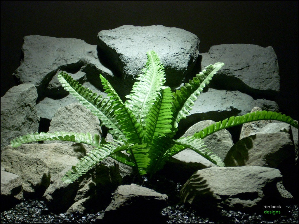 Nikon COOLPIX L11 sample photo. Silk reptile plant boston fern srpfrom ron beck designs photography