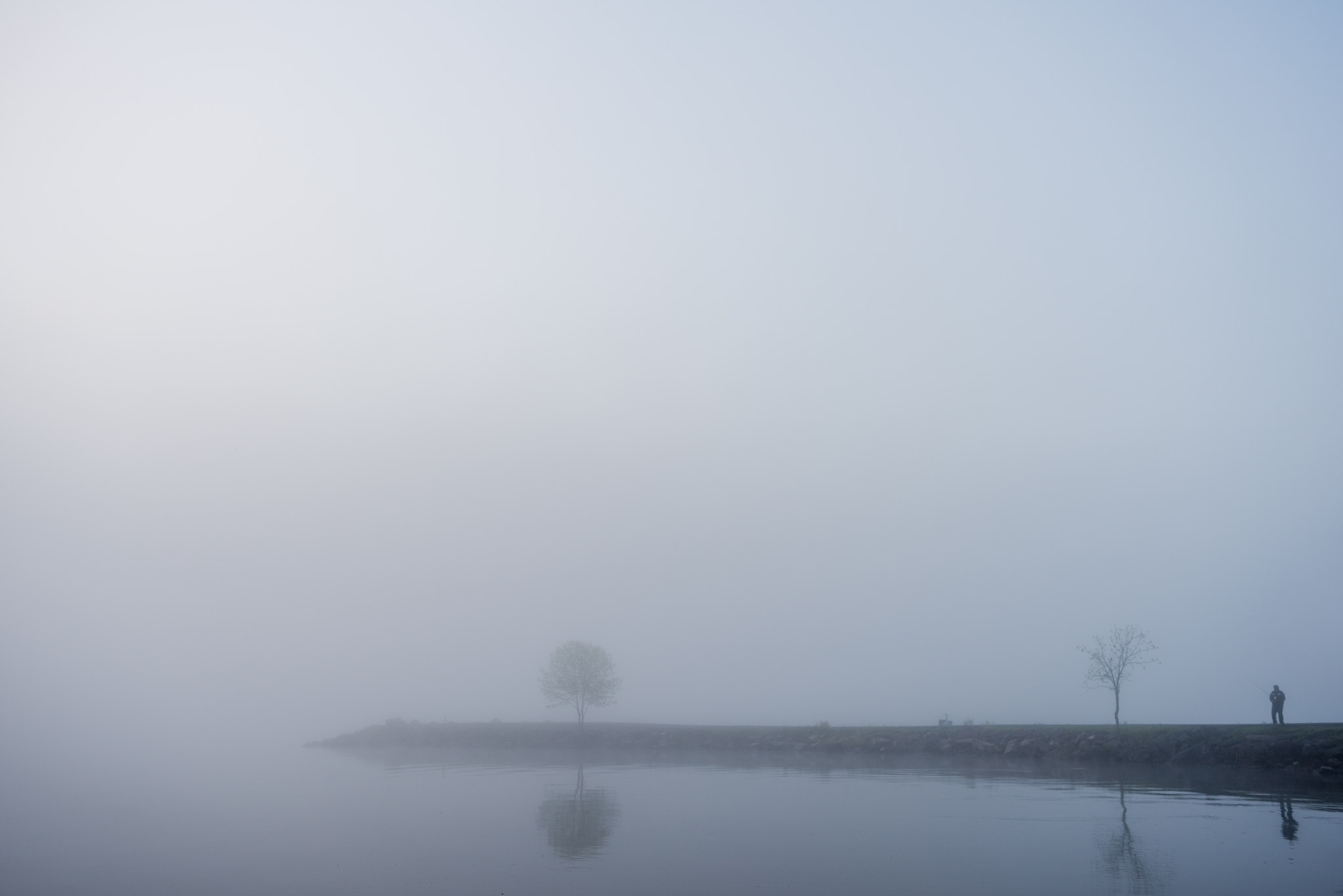 Zeiss Milvus 35mm f/2 sample photo. In a fog photography