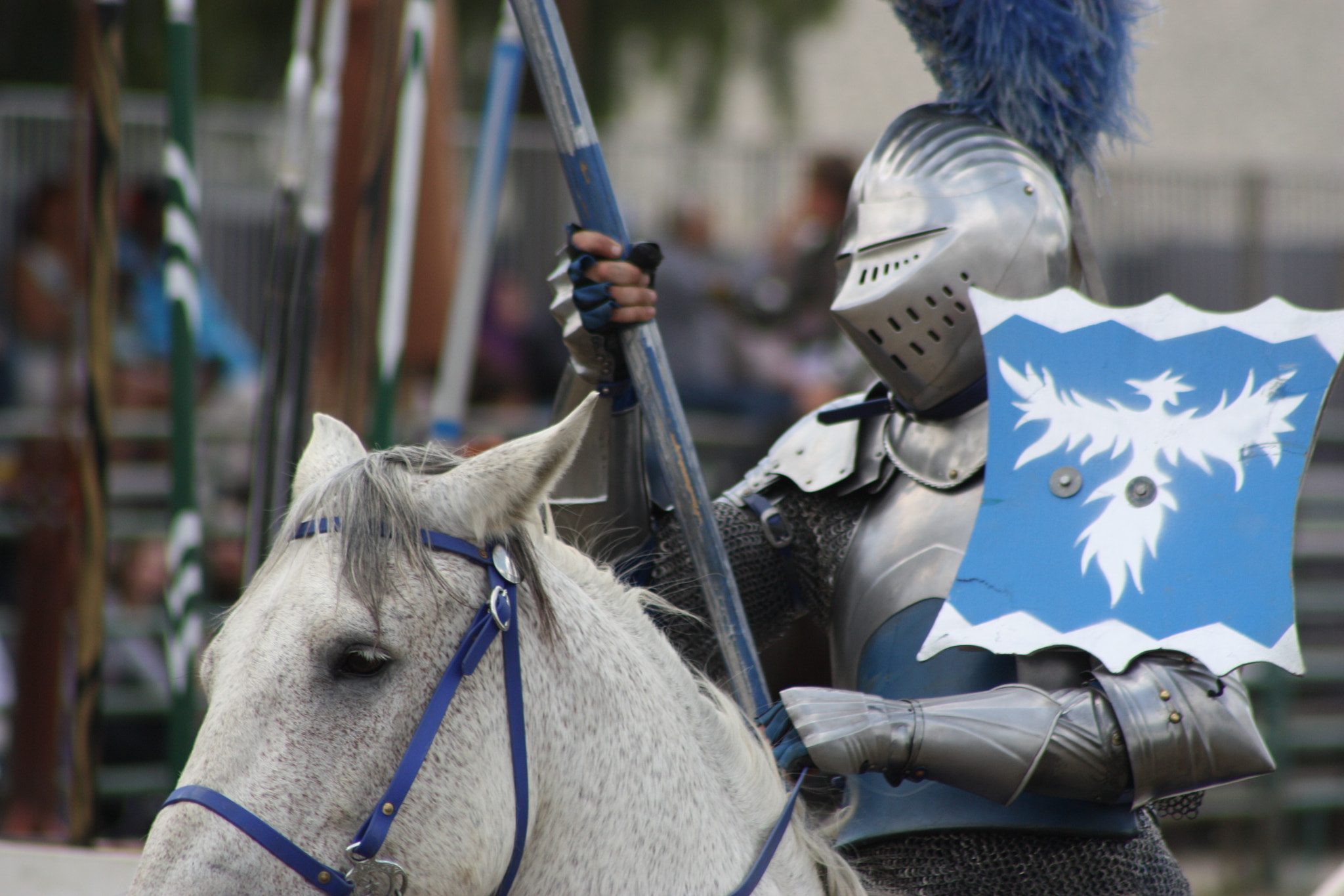 Canon EOS 450D (EOS Rebel XSi / EOS Kiss X2) sample photo. My blue knight photography