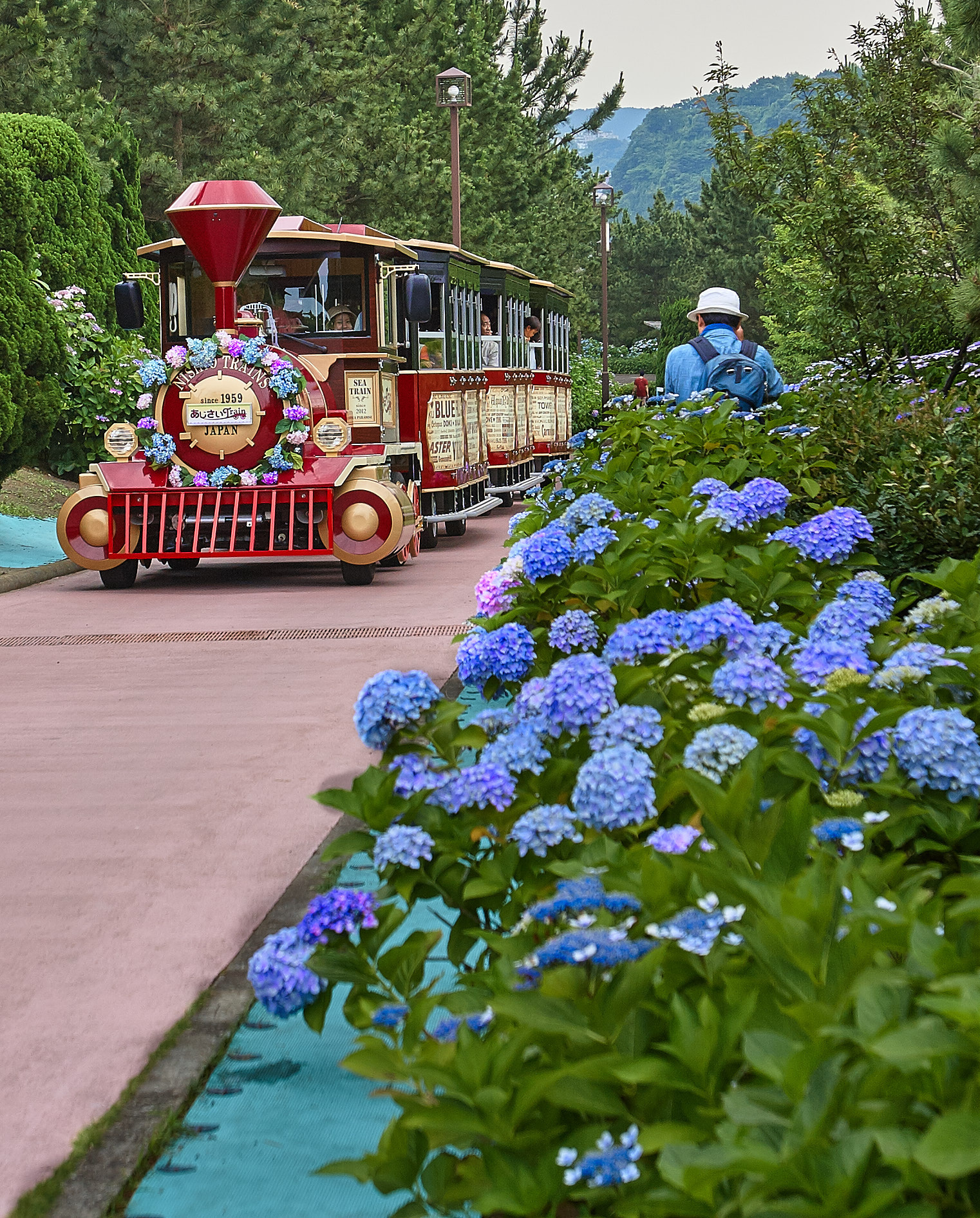 Canon EOS 30D sample photo. Hydrangea festival photography