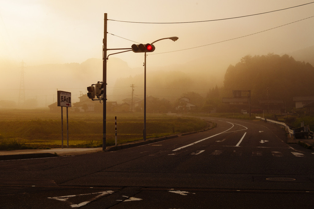 Canon EOS 5D Mark II + ZEISS Makro-Planar T* 50mm F2 sample photo. Morning haze photography