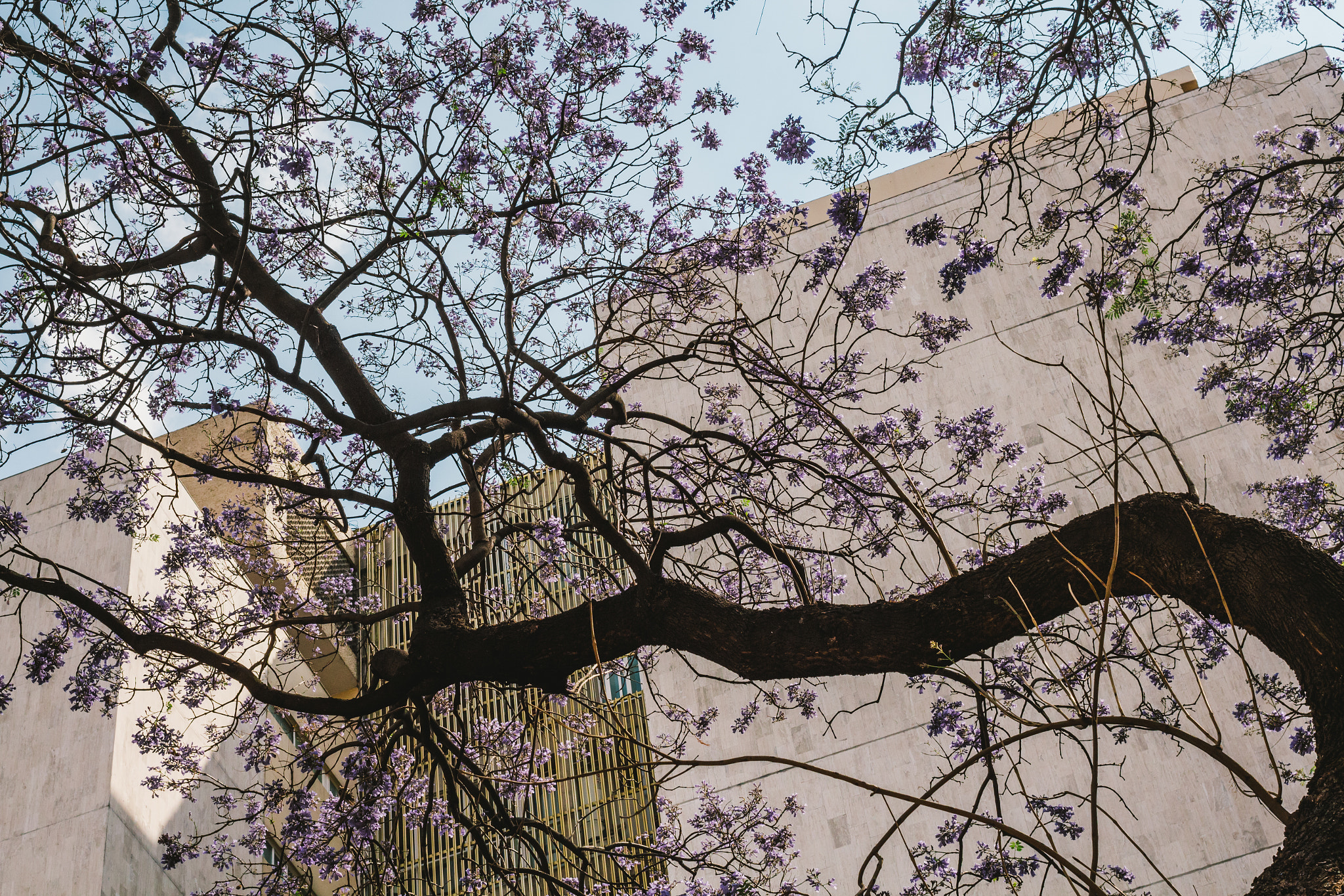 Canon EF 40mm F2.8 STM sample photo. Arterias urbanas photography