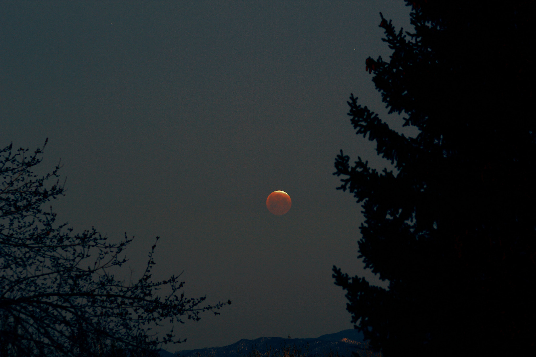 Canon EOS 60D + Canon EF 75-300mm F4.0-5.6 IS USM sample photo. Eclipse 4-4-2015 2 photography