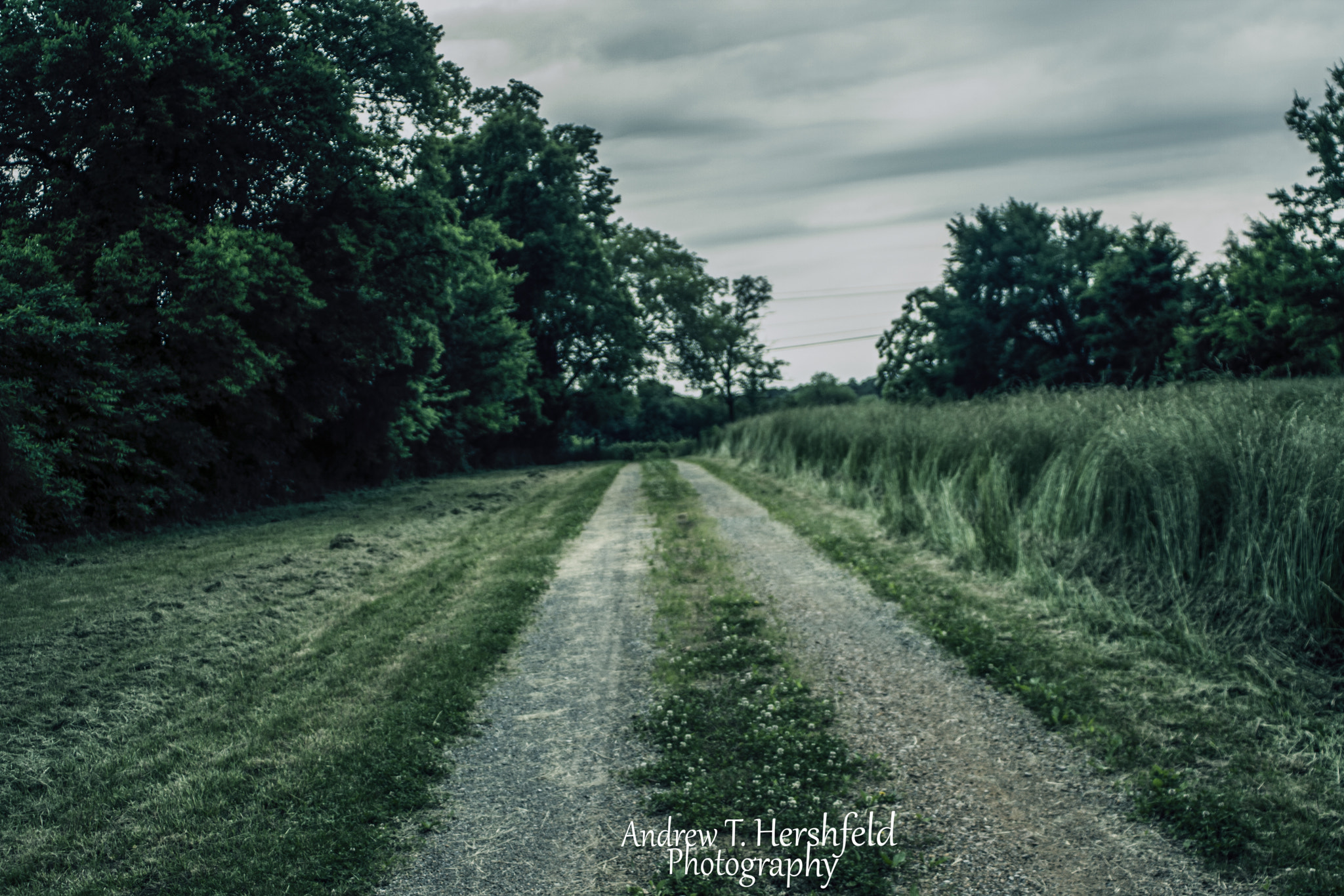 Canon EF 28-80mm f/3.5-5.6 sample photo. Lonely road photography