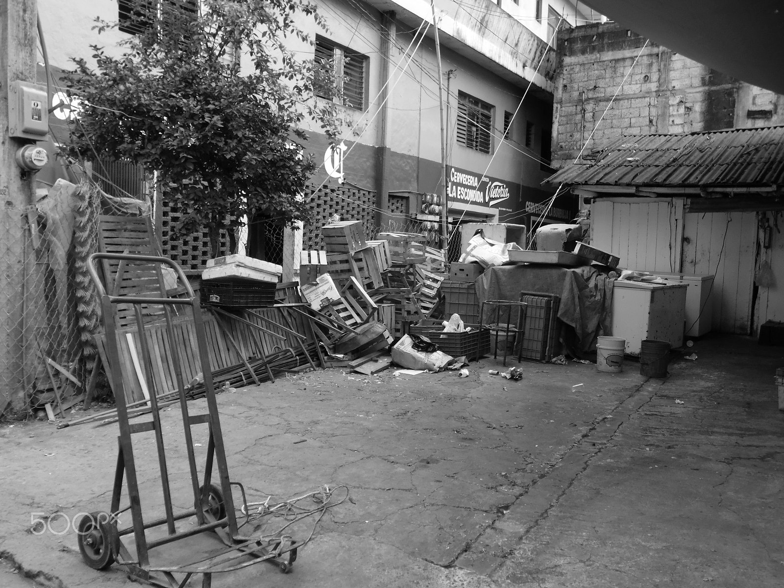 Samsung WB50F/WB51F/WB52F sample photo. Loneliness photography