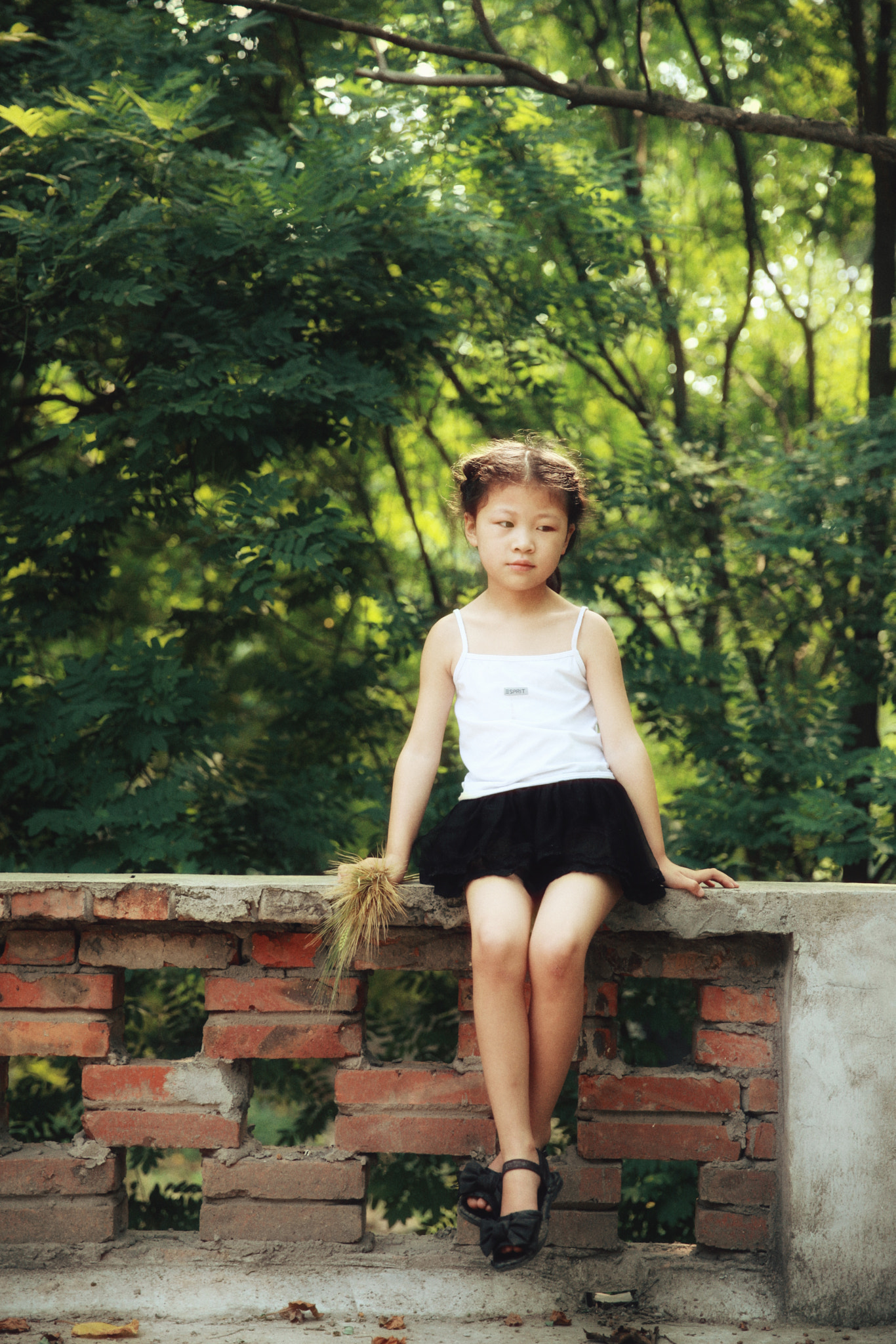Canon EF 24-70mm F2.8L II USM sample photo