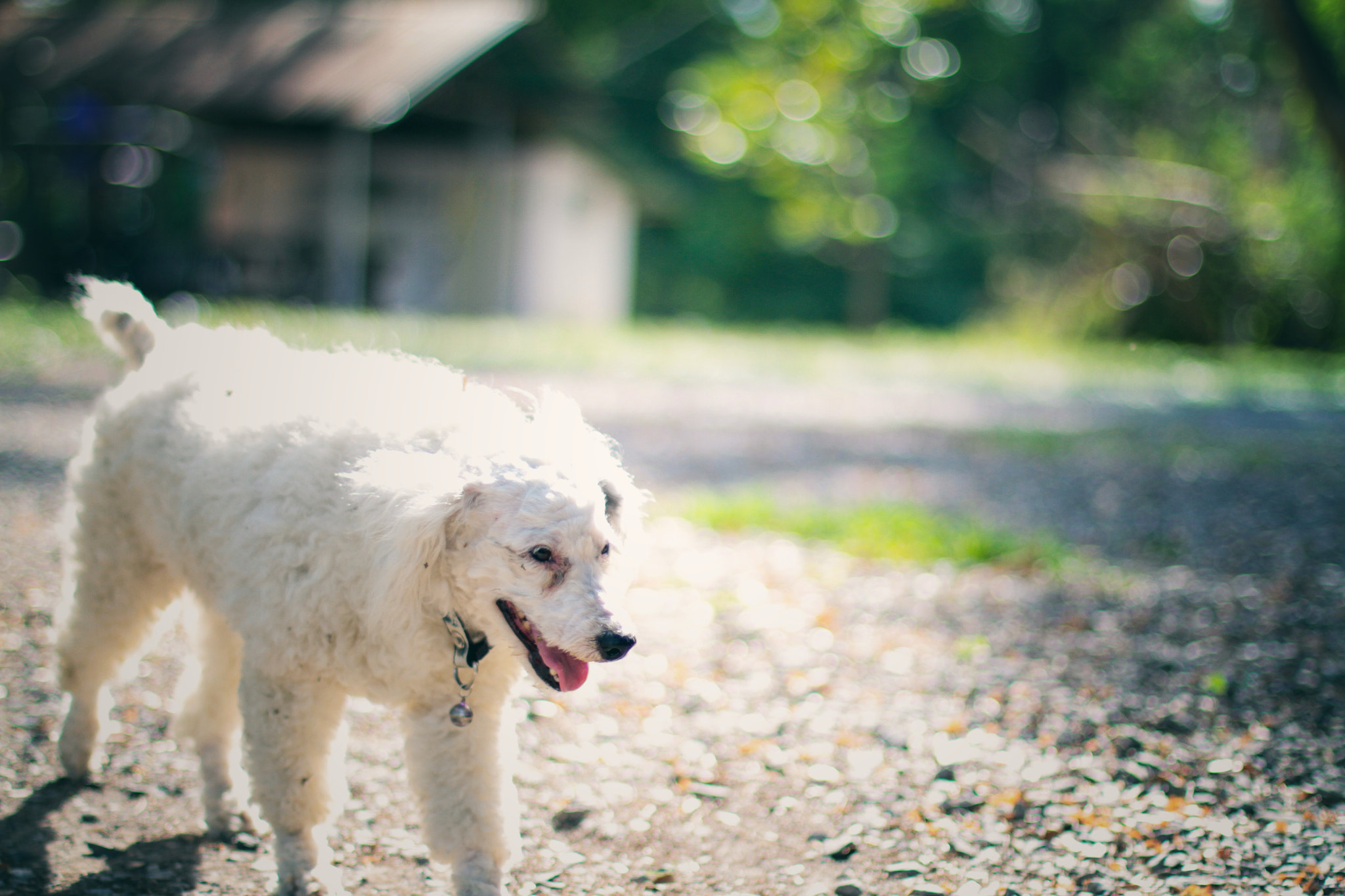 Canon EOS 7D + Canon EF 50mm F1.4 USM sample photo. #b o r e d photography