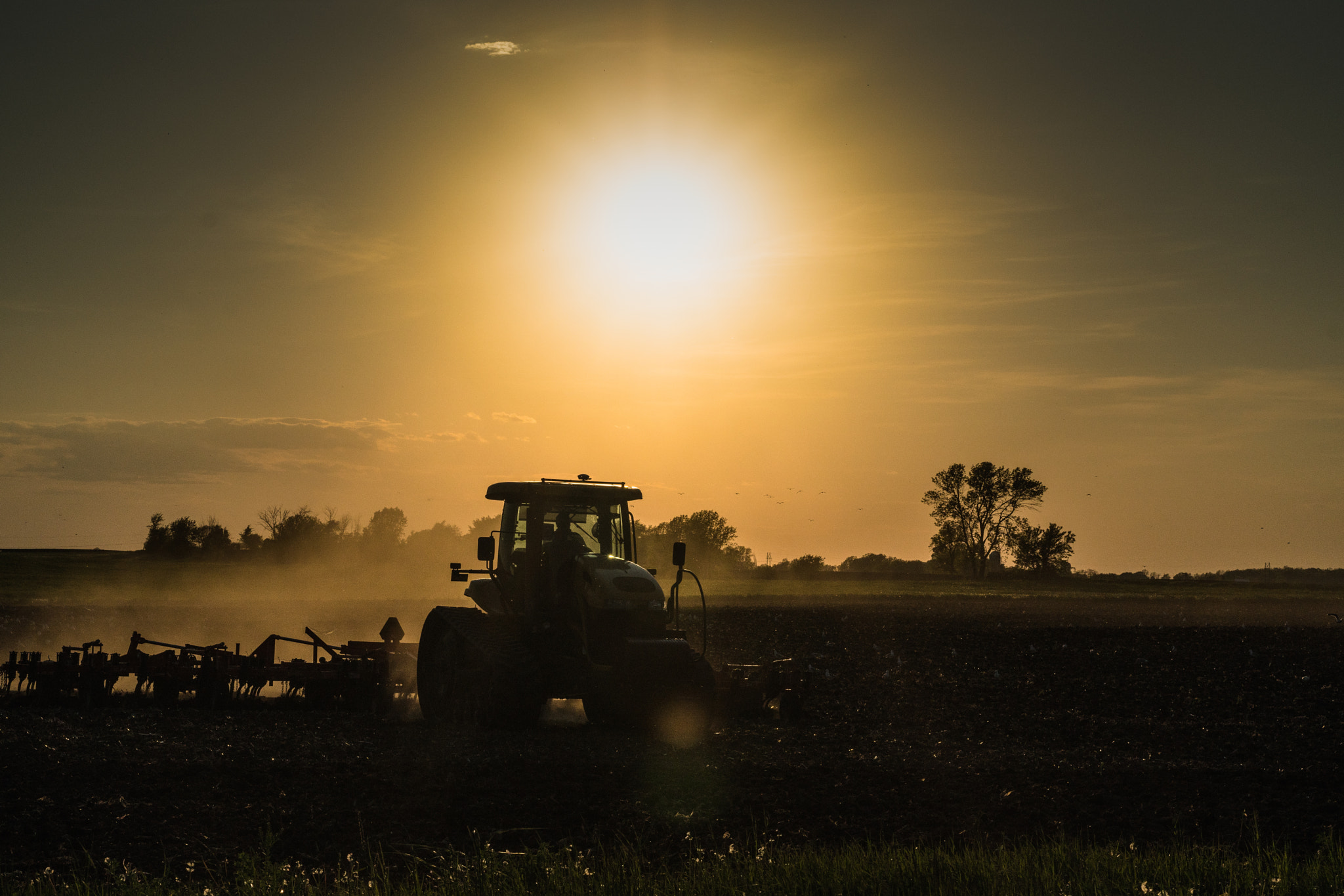 Sony a6300 + Sony FE 50mm F1.8 sample photo. Warm hazy sunset photography