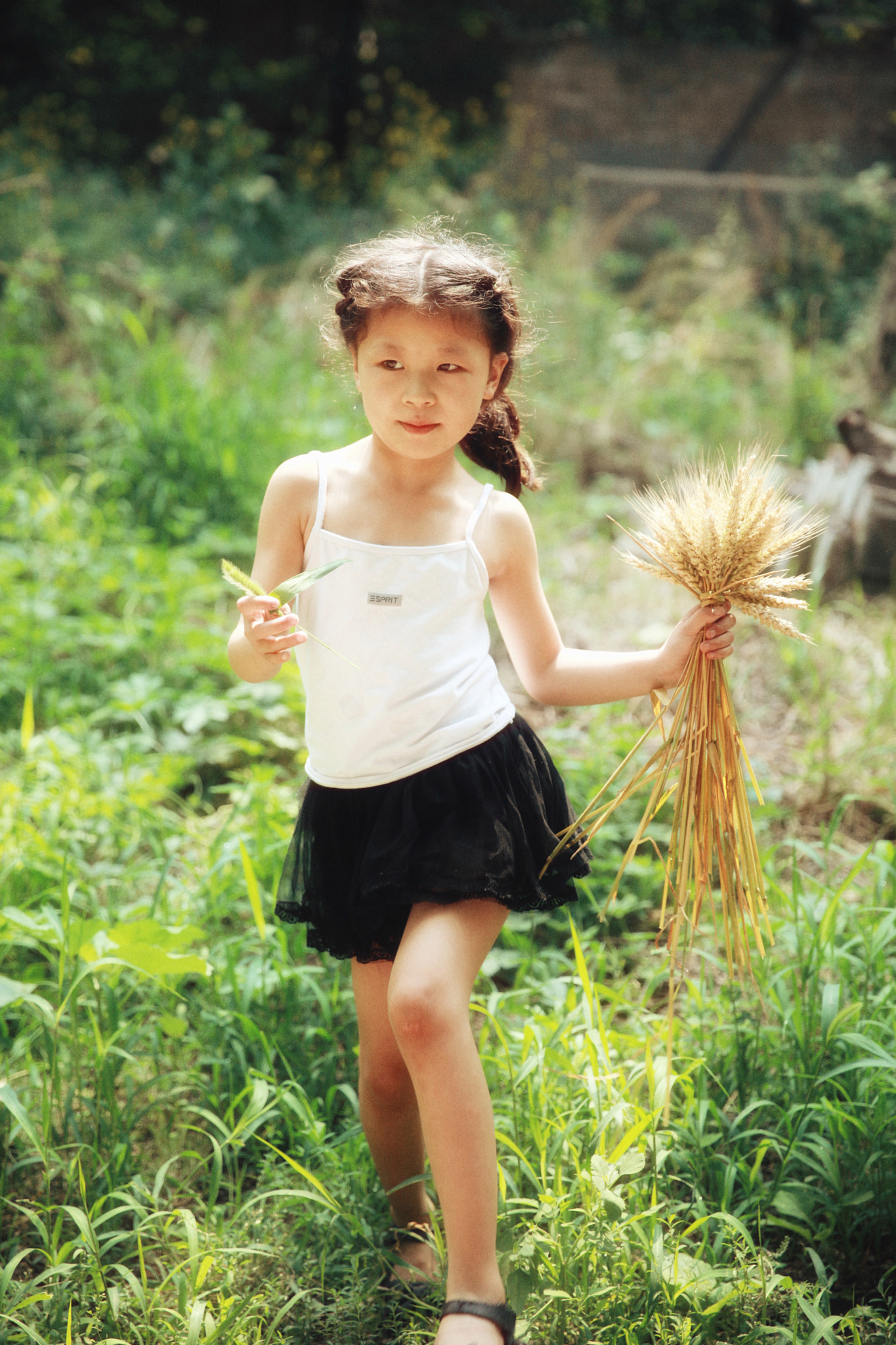 Canon EF 24-70mm F2.8L II USM sample photo