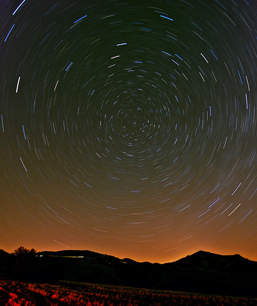 Nikon D80 sample photo. Everything revolves in the universe photography