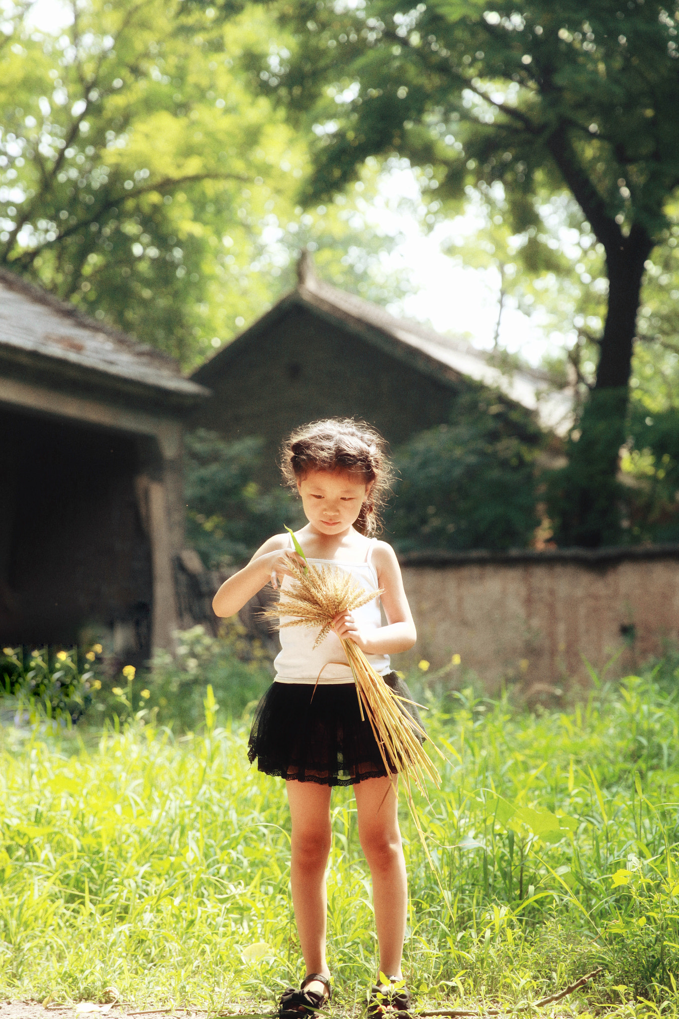 Canon EF 24-70mm F2.8L II USM sample photo. Niece photography