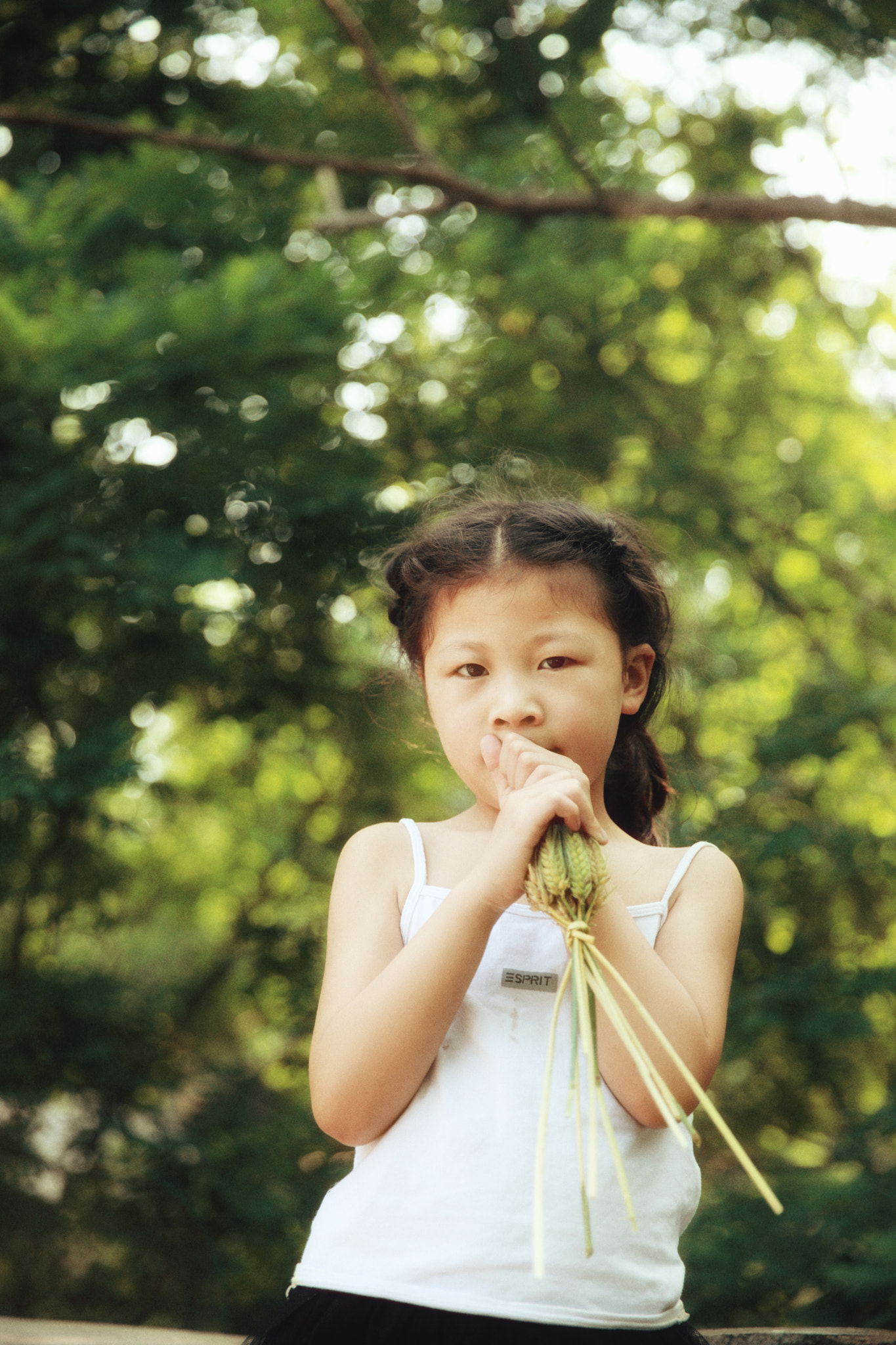 Canon EF 24-70mm F2.8L II USM sample photo