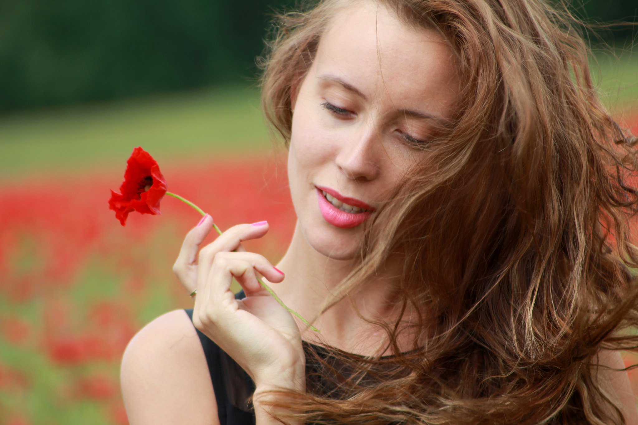 Canon EF 55-200mm F4.5-5.6 II USM sample photo. Poppy photography