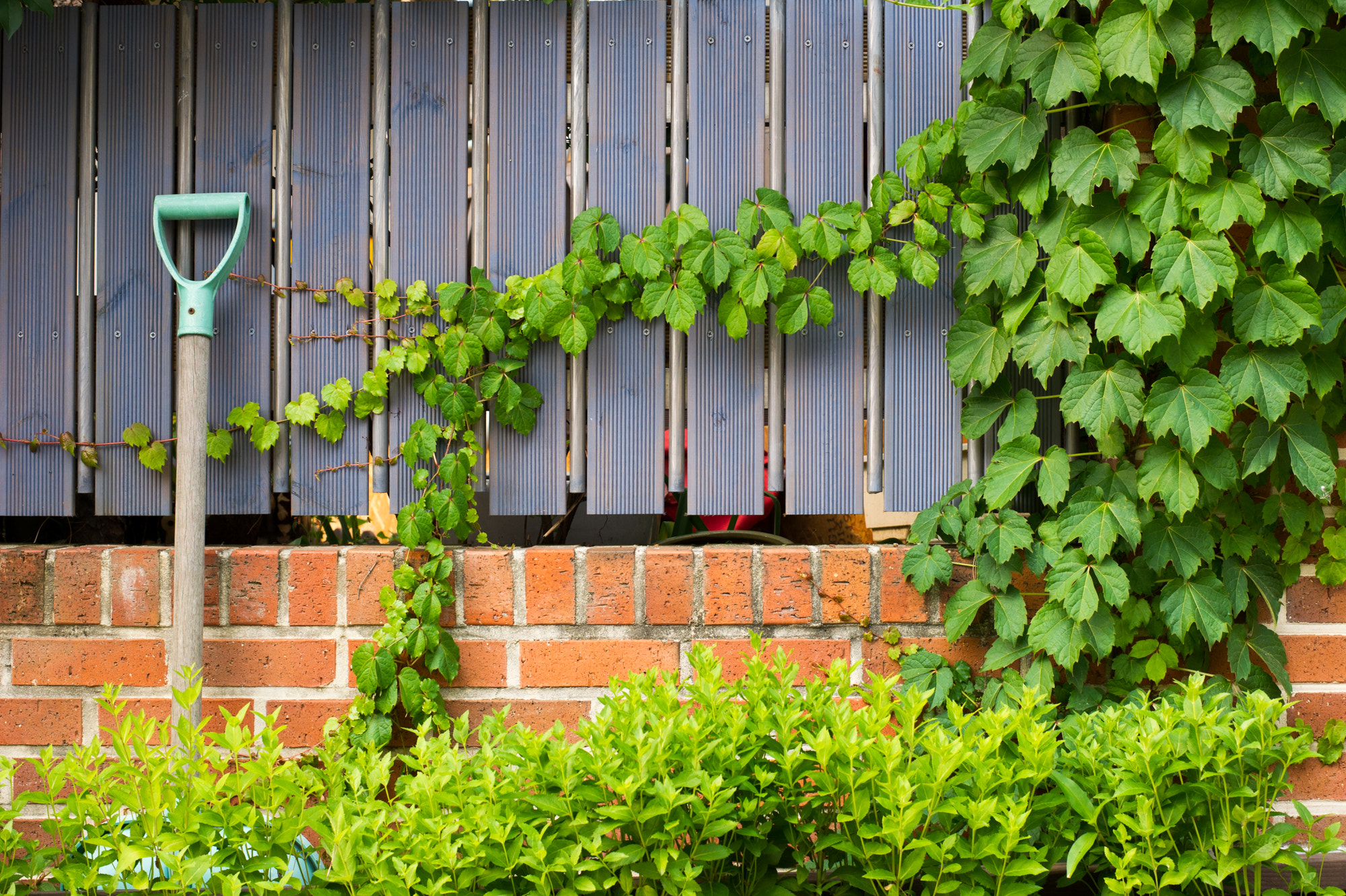 Nikon D3S + Nikon AF-S Nikkor 50mm F1.8G sample photo. Just snapshots photography
