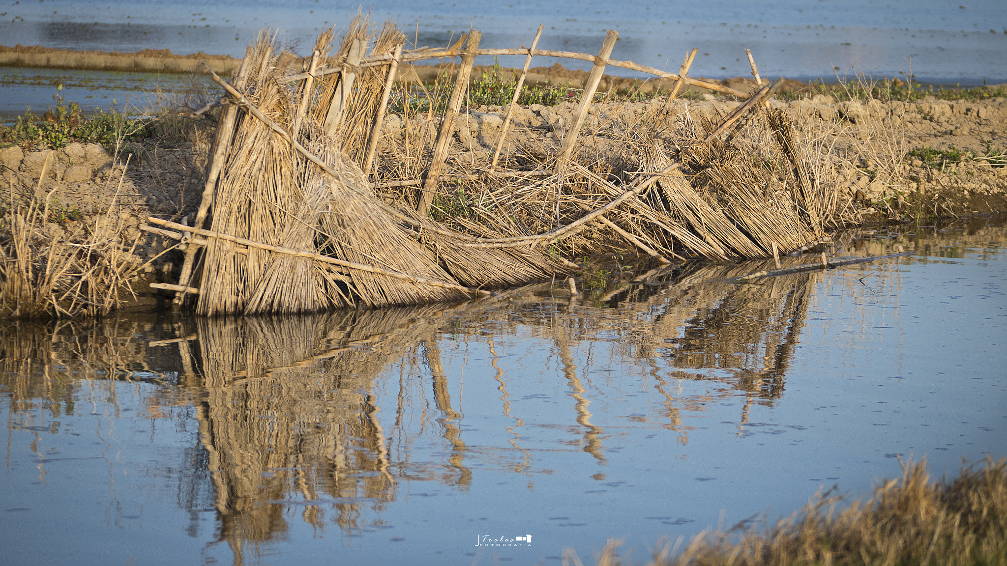 Canon EF 70-200mm F2.8L IS USM sample photo. Albufera de valencia photography